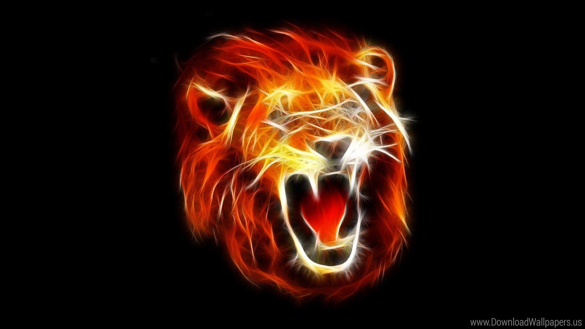 1920x1080 Download Widescreen 16:9 1920x1080, Lion, Roaring