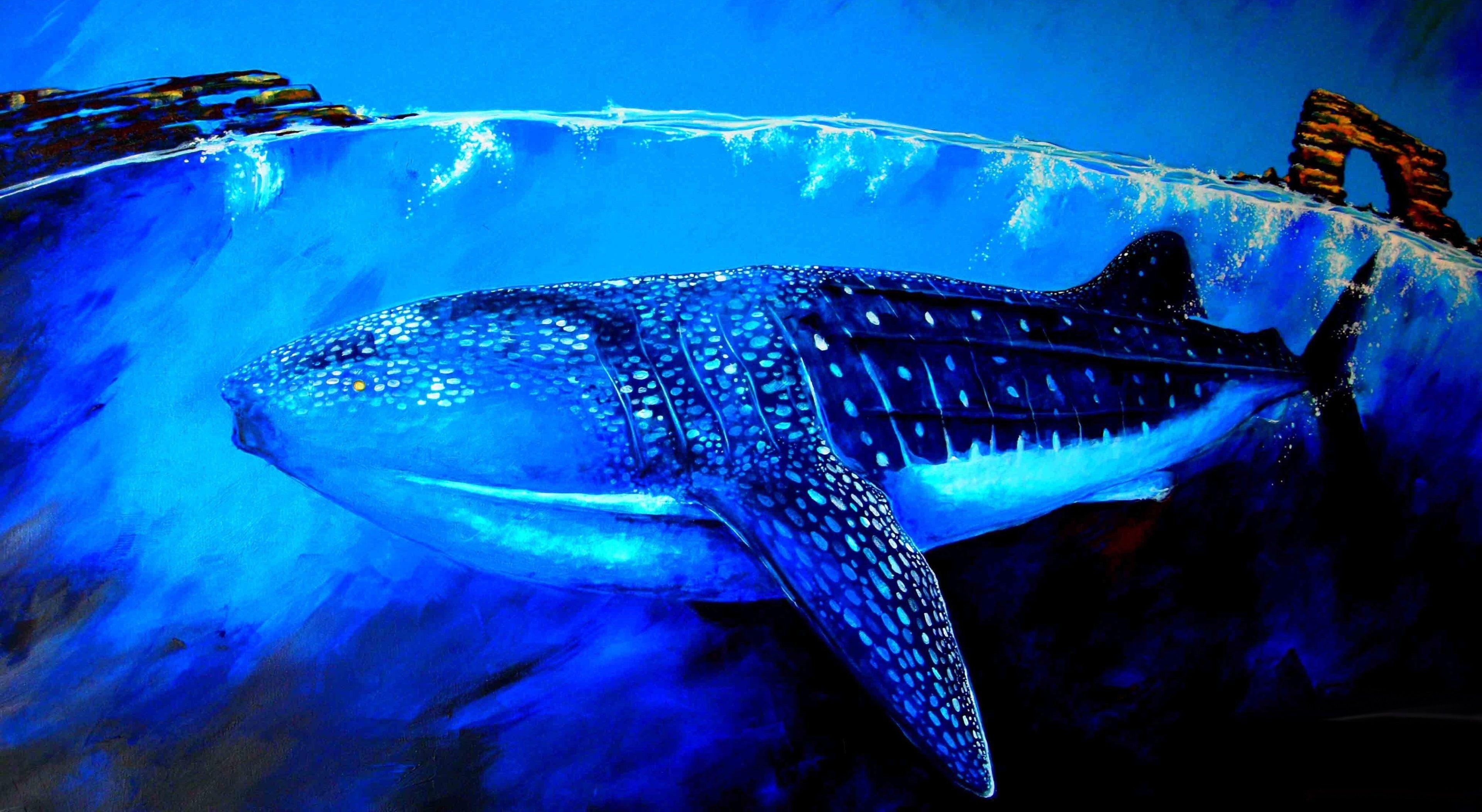 Whale Shark Wallpapers Top Free Whale Shark Backgrounds WallpaperAccess