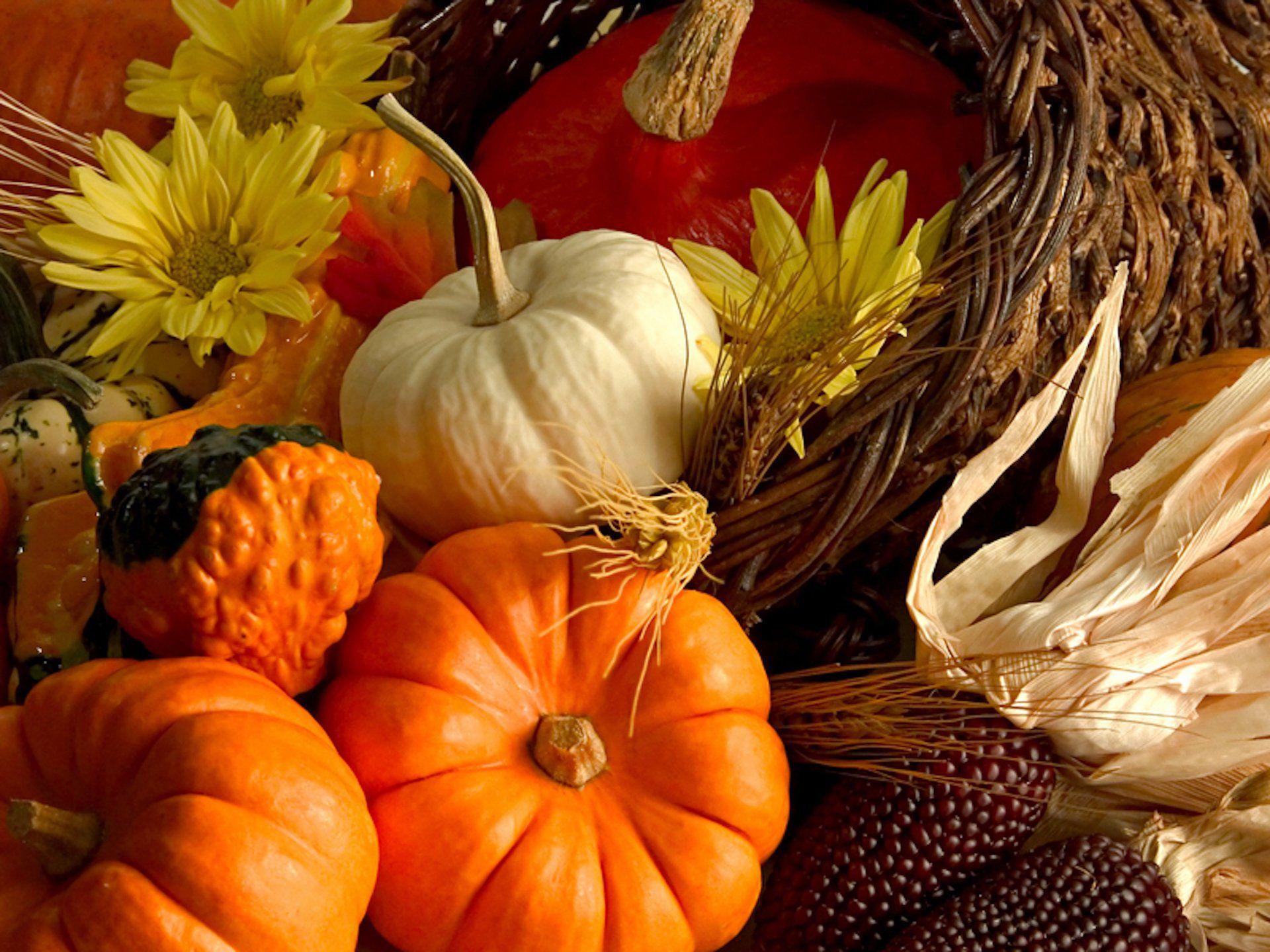1920x1440 Vegetables HD Wallpaper and Background Image