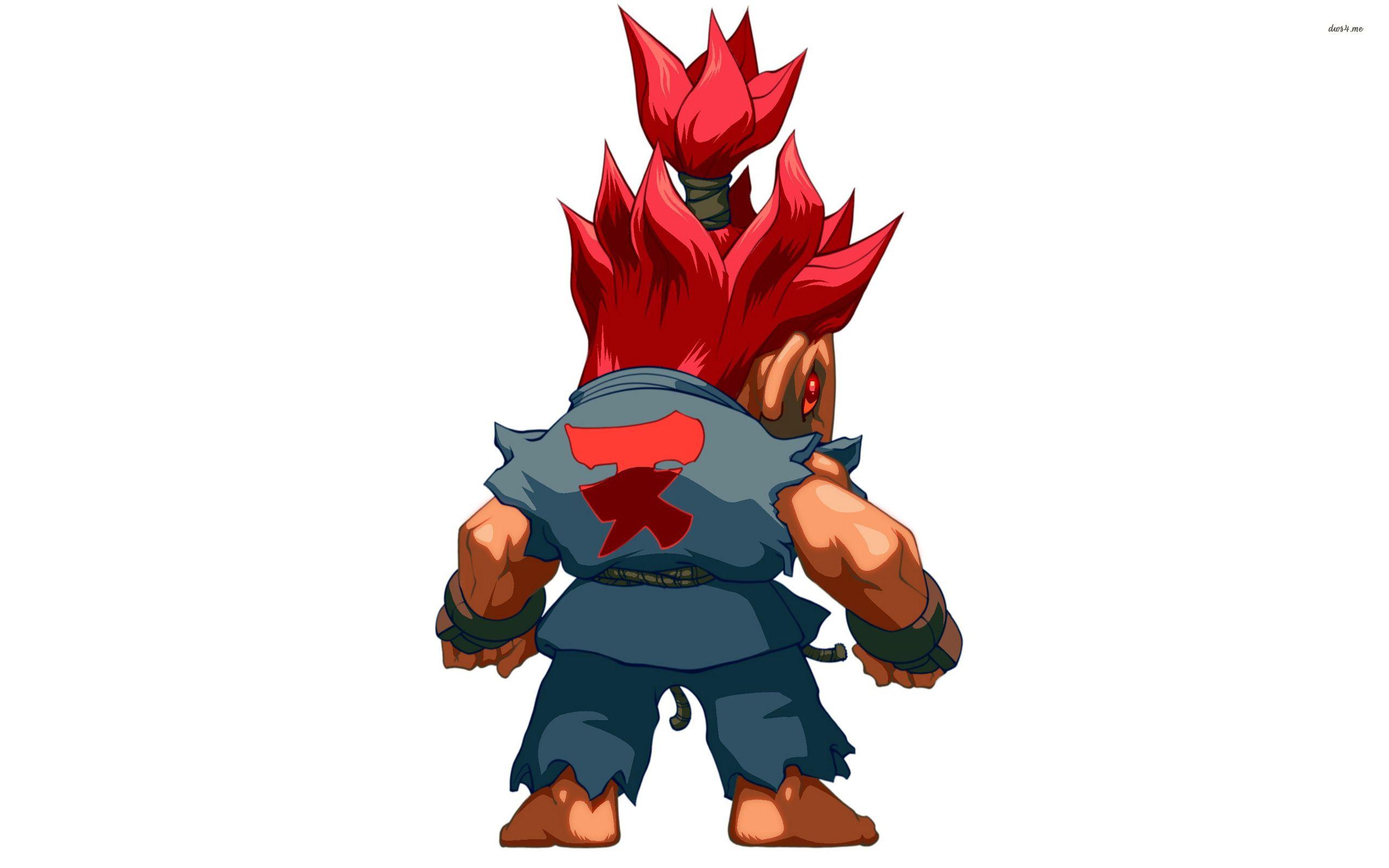 2560x1600 Akuma Fighter wallpaper wallpaper