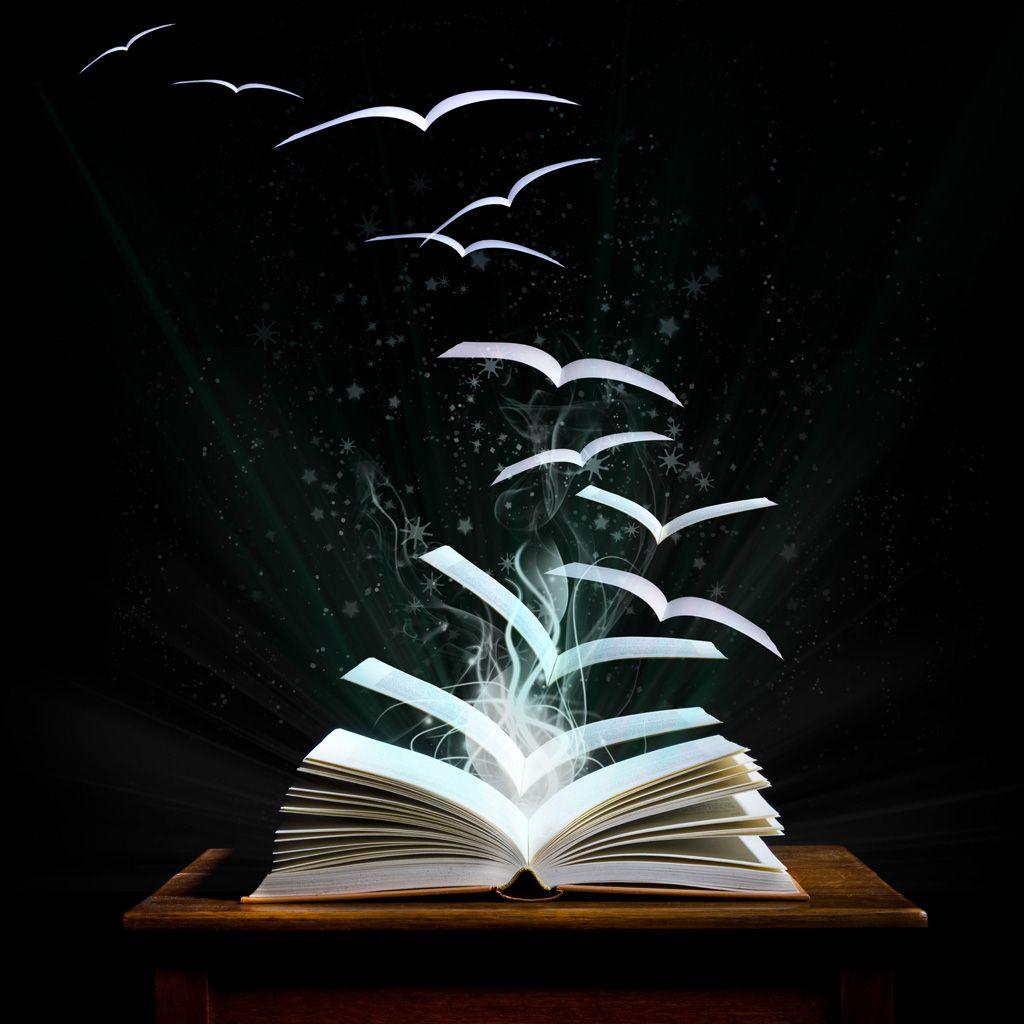 1024x1024 Book HD Wallpaper Background For Free Download, B.SCB