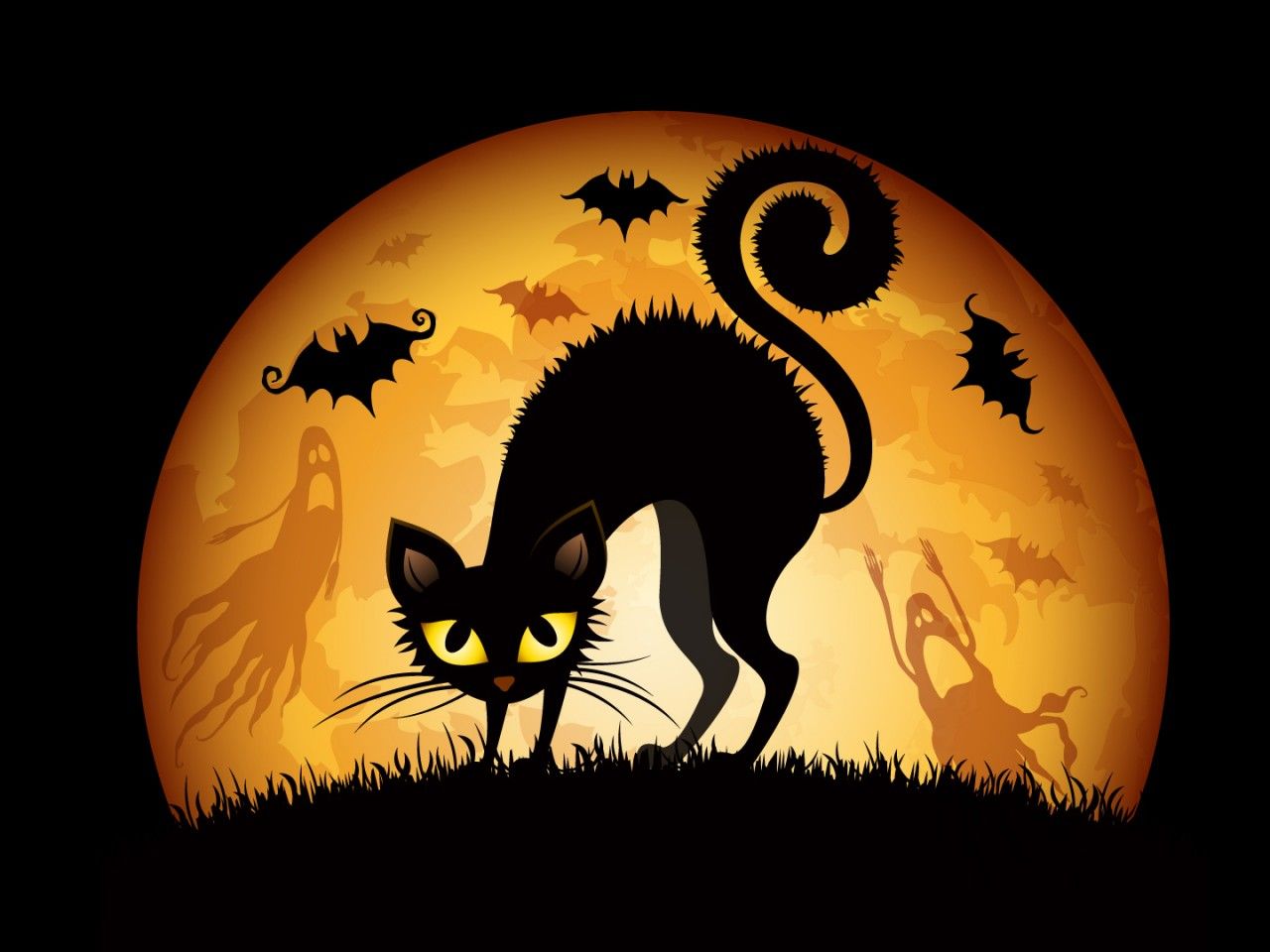 1280x960 halloween cats bats HD wallpaper
