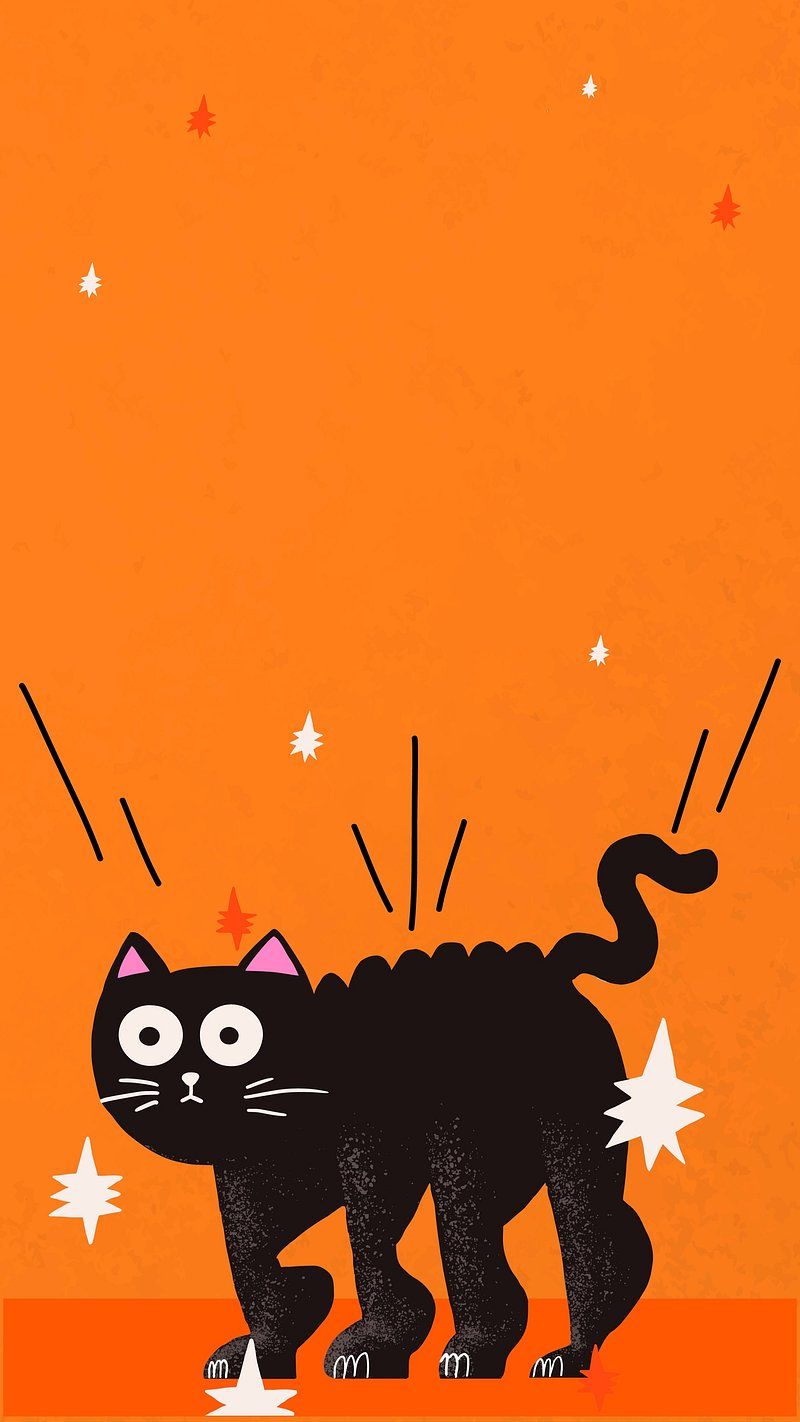 800x1422 Kitten Wallpaper Image. Free Photo