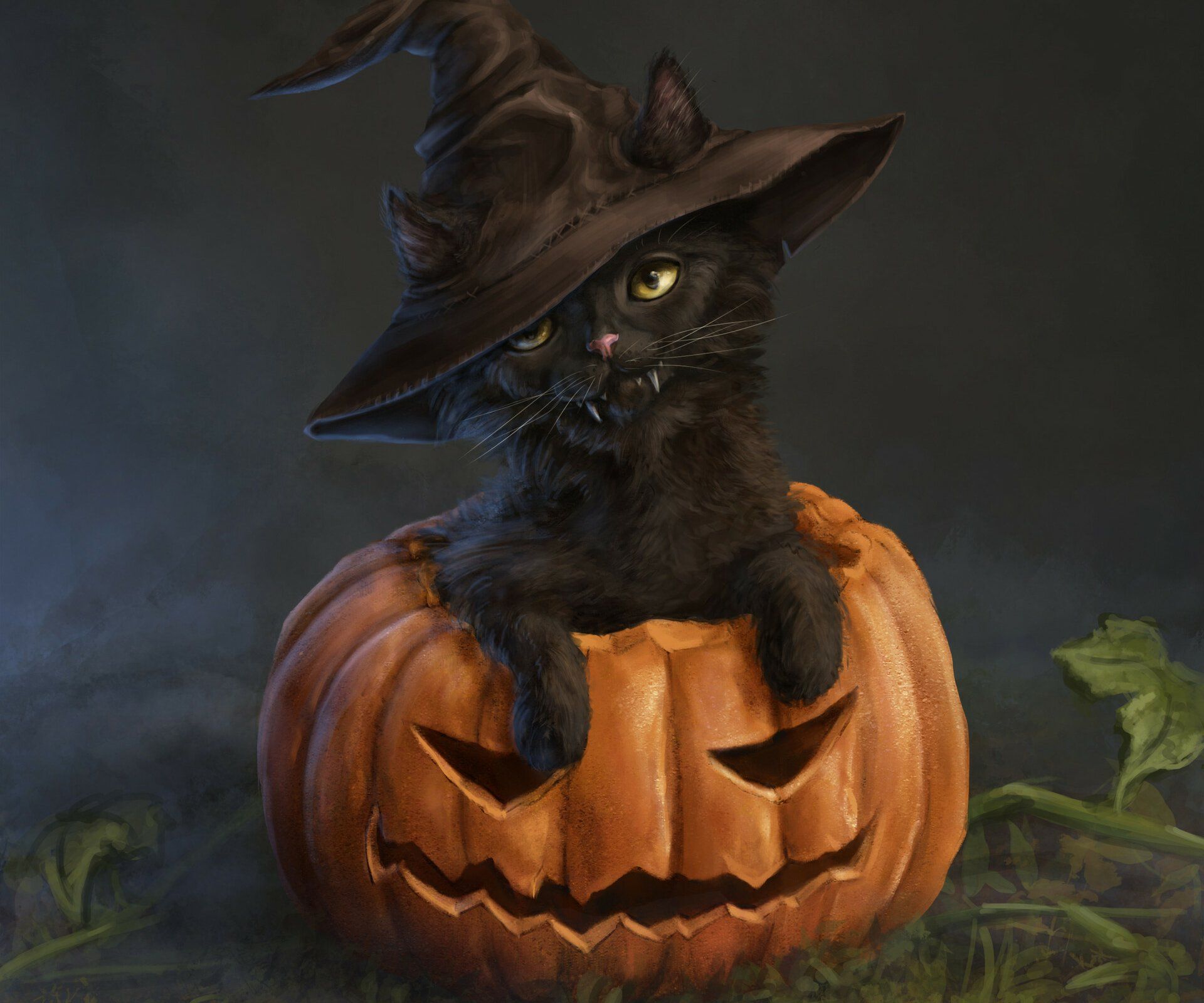 1920x1600 Download Jack O' Lantern Kitten Holiday