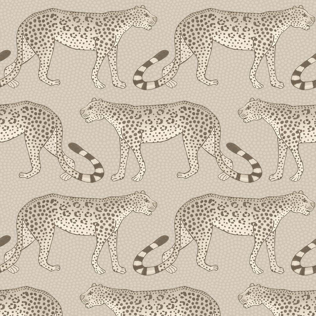 1062x1062 Leopard Walk