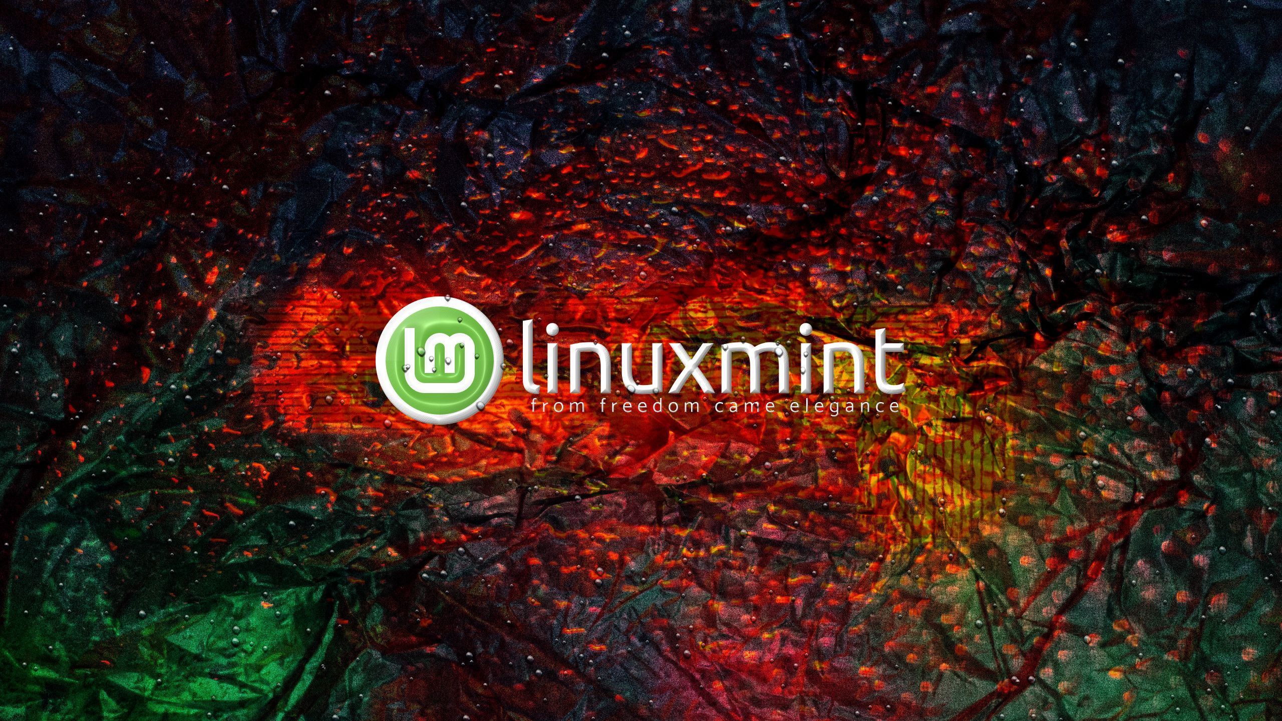 2560x1440 Download Technology Linux Mint HD Wallpaperx1440