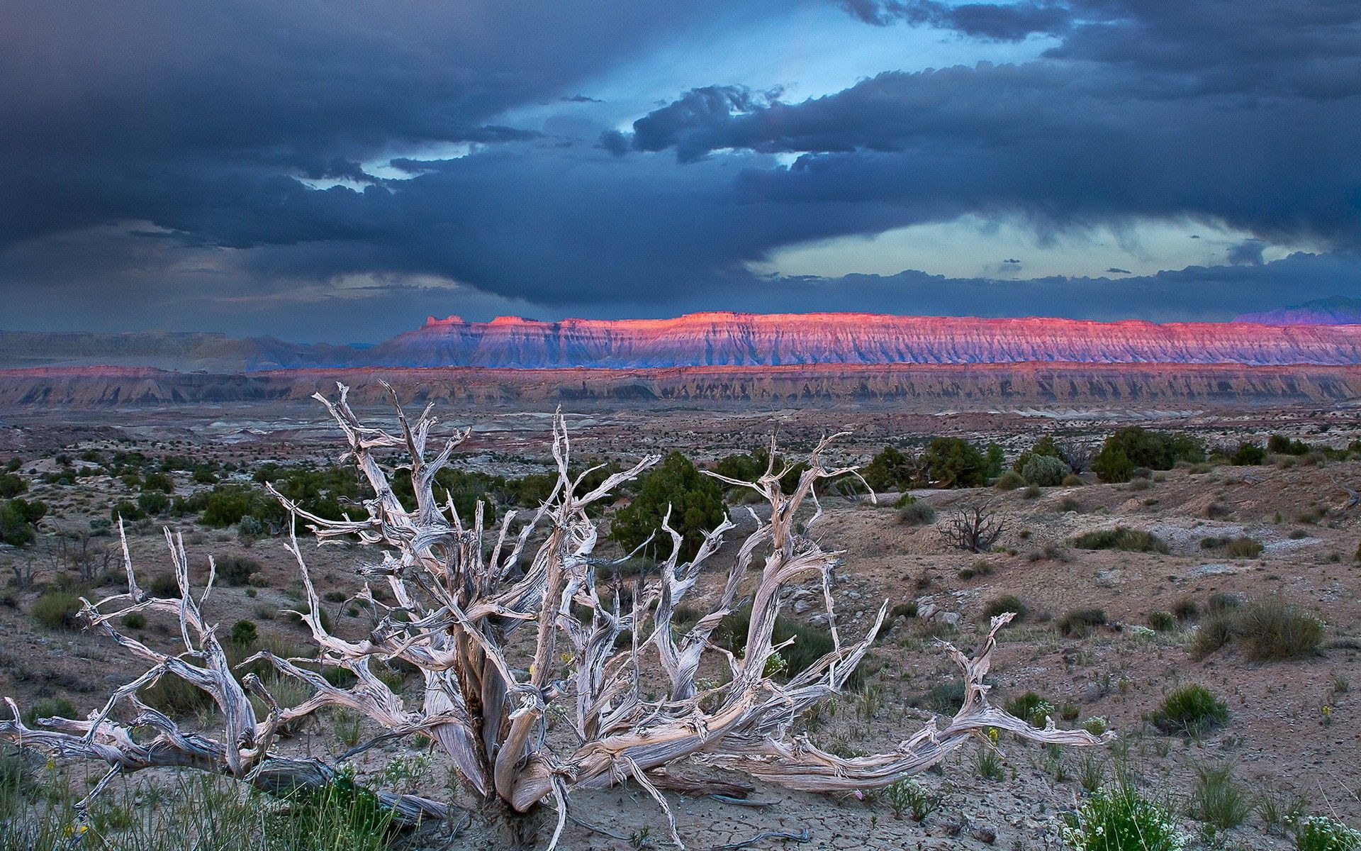 1920x1200 Daily Wallpaper: Capitol Reef National