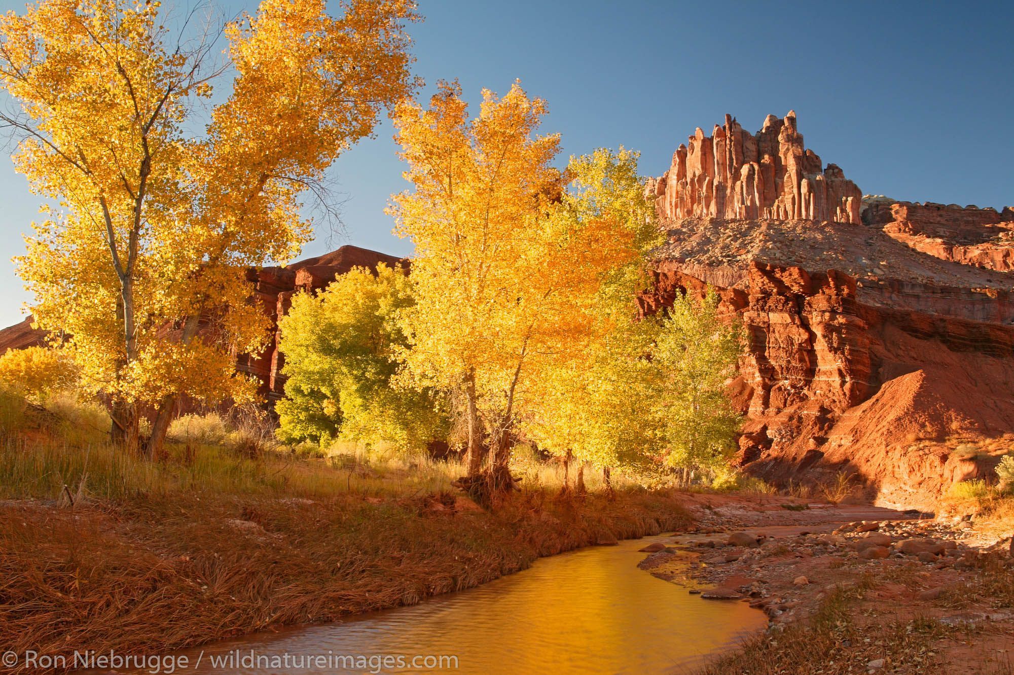 2000x1331 Capitol Reef National Park Photo