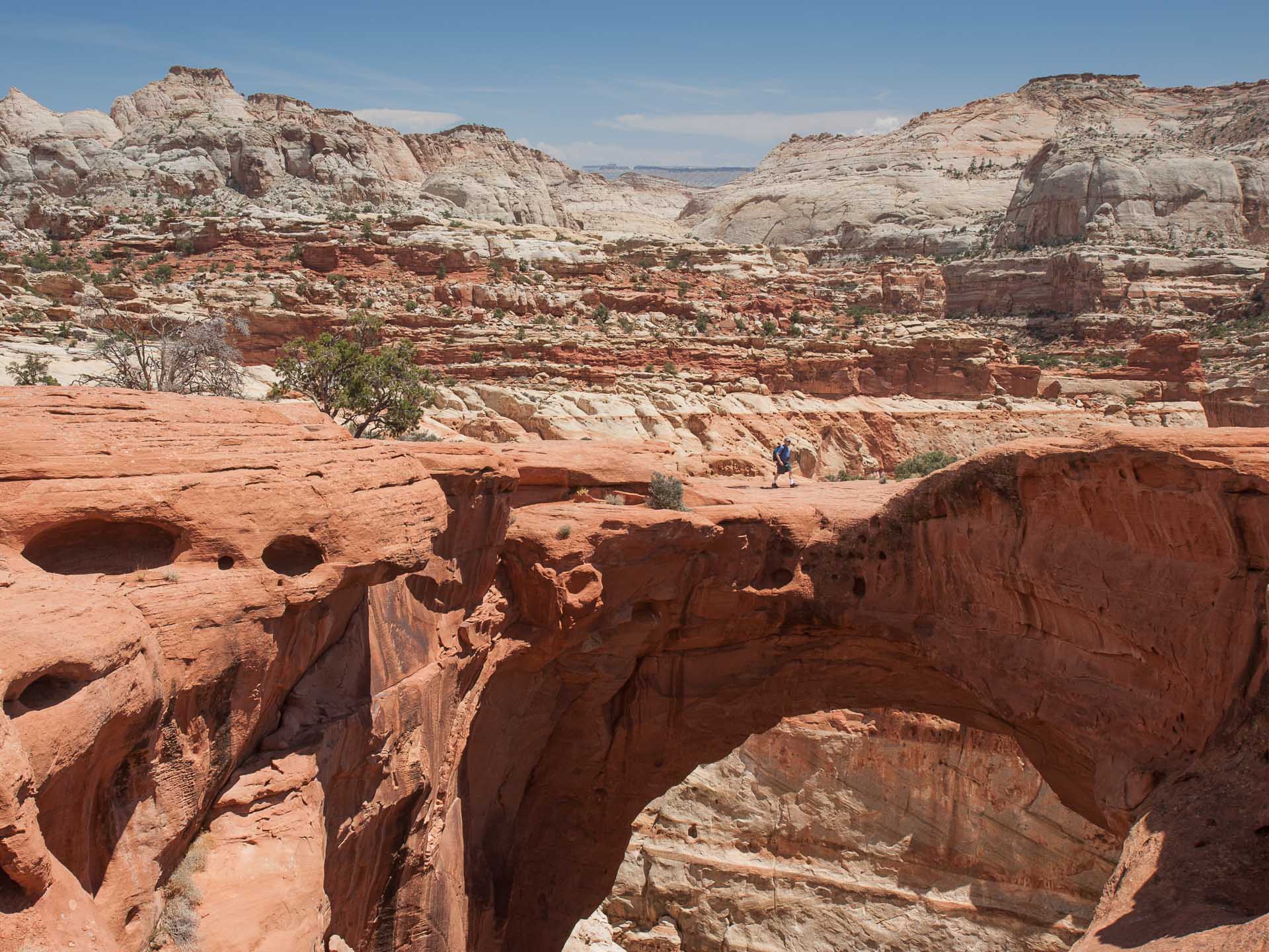 1920x1440 Day hikes in Capitol Reef National Park