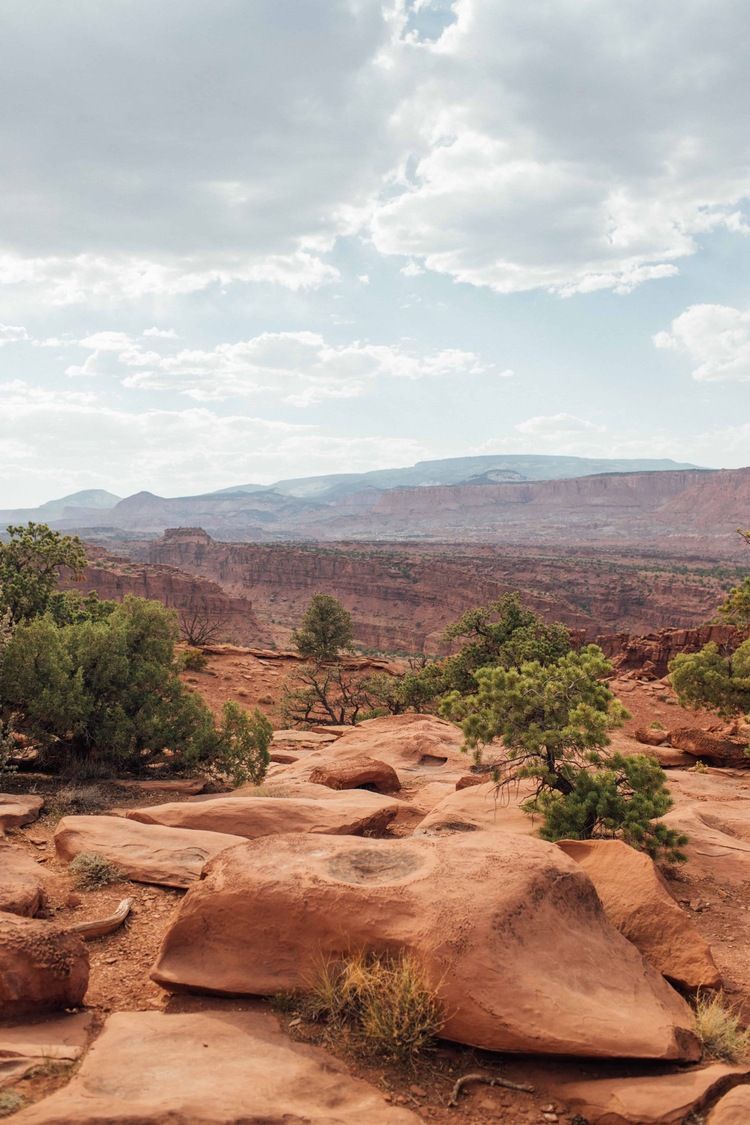 750x1125 Capitol Reef National Park. KLT Travel