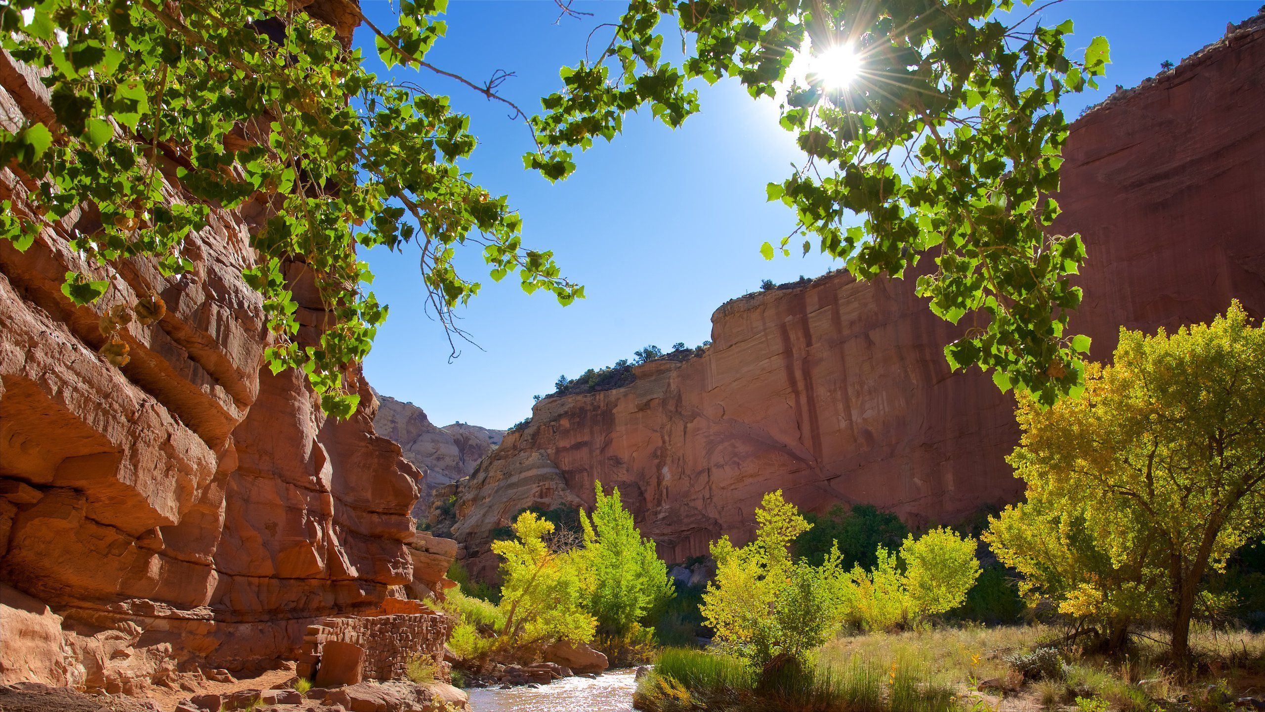 2560x1440 Capitol Reef National Park Tours