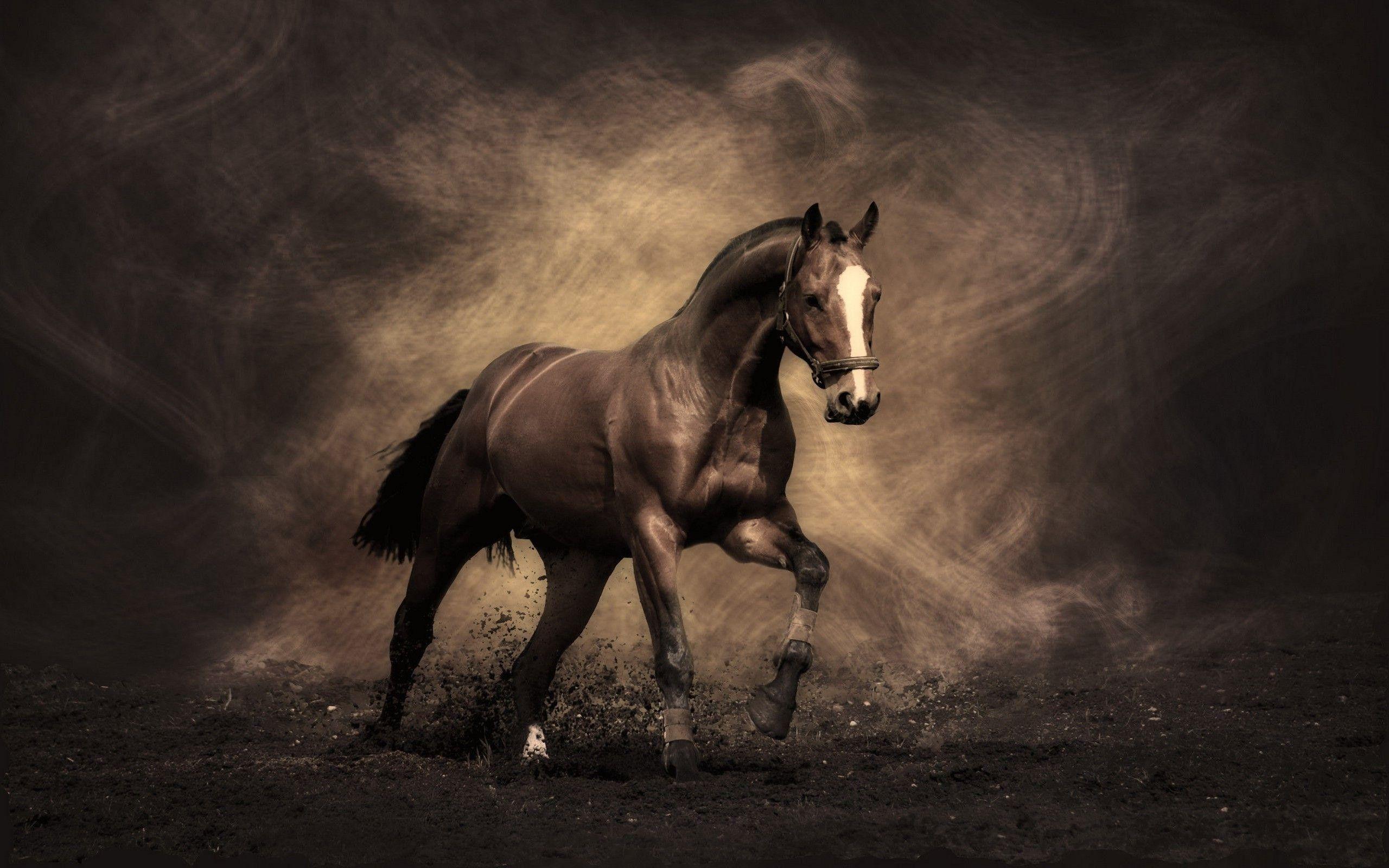 Horse Wallpaper Stock Illustration | Adobe Stock