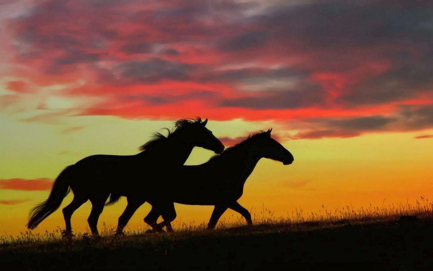 1440x900 Secrets of Happiness: BeauTifuLL Horses