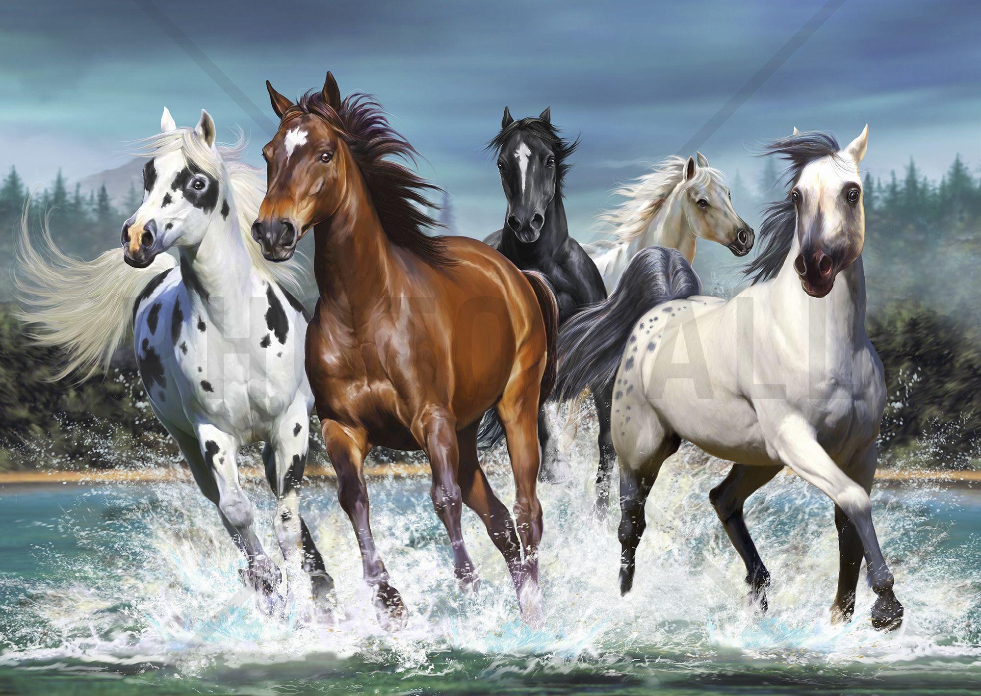 7 horse wallpaper