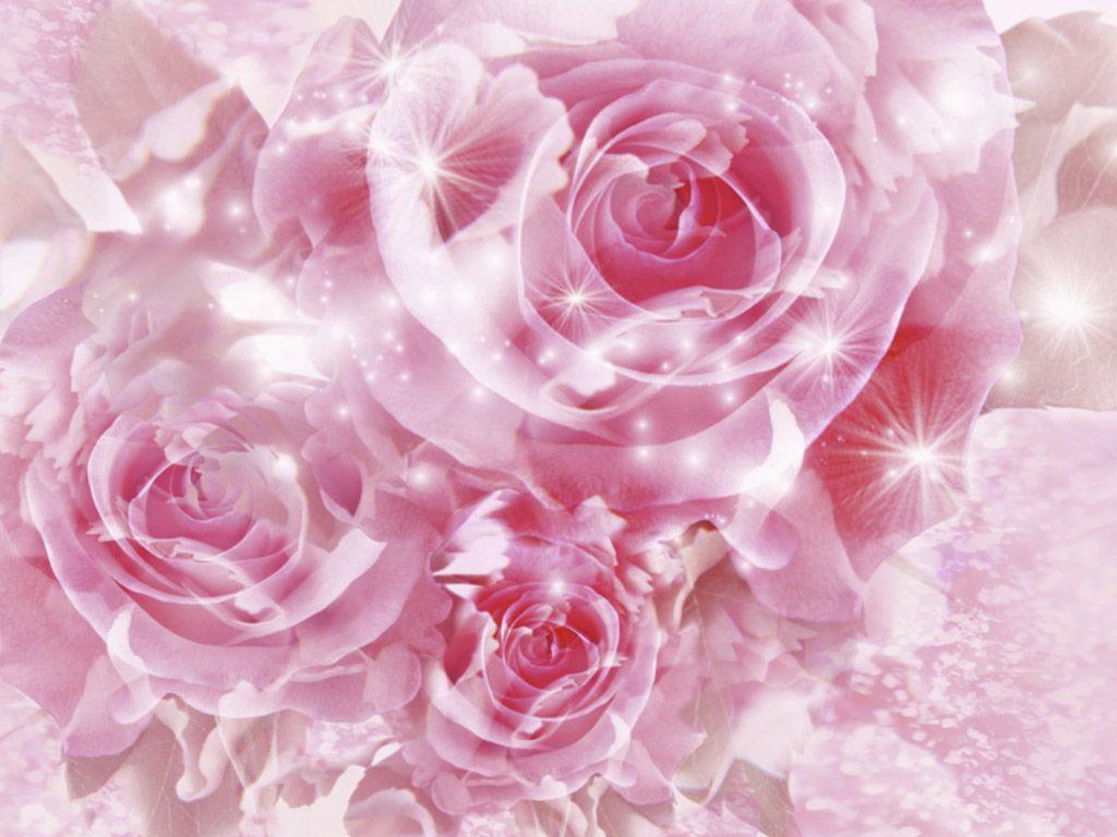 Hình nền hoa hồng màu hồng: Hình nền này kết hợp vẻ đẹp của bông hoa hồng màu hồng và sự tinh tế của thiết kế nền. Bạn sẽ bị thu hút bởi sự kết hợp của tông màu nhẹ nhàng và thiết kế trang trí độc đáo. Hãy cùng chiêm ngưỡng bức tranh tuyệt đẹp này.
