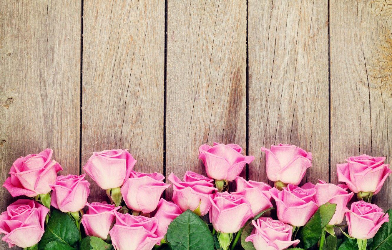 1332x850 Wallpaper roses, wood, pink, romantic, roses, pink roses