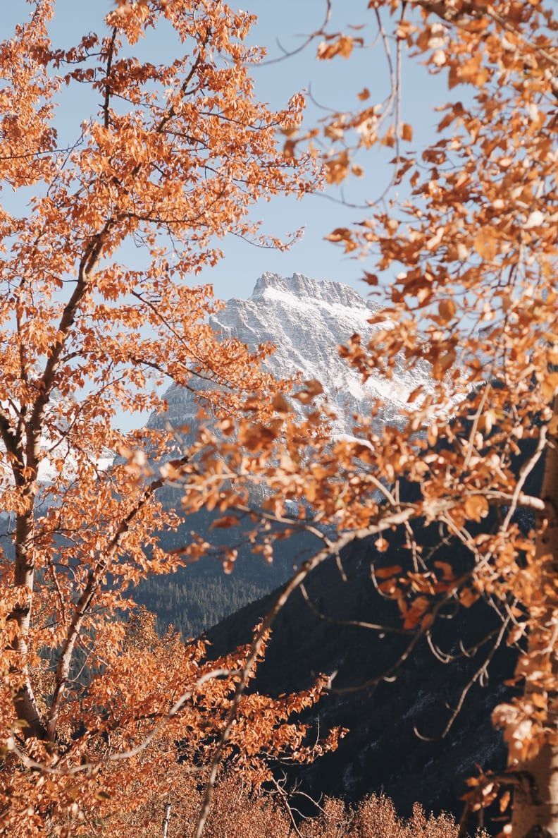 792x1188 Fall iPhone Wallpaper