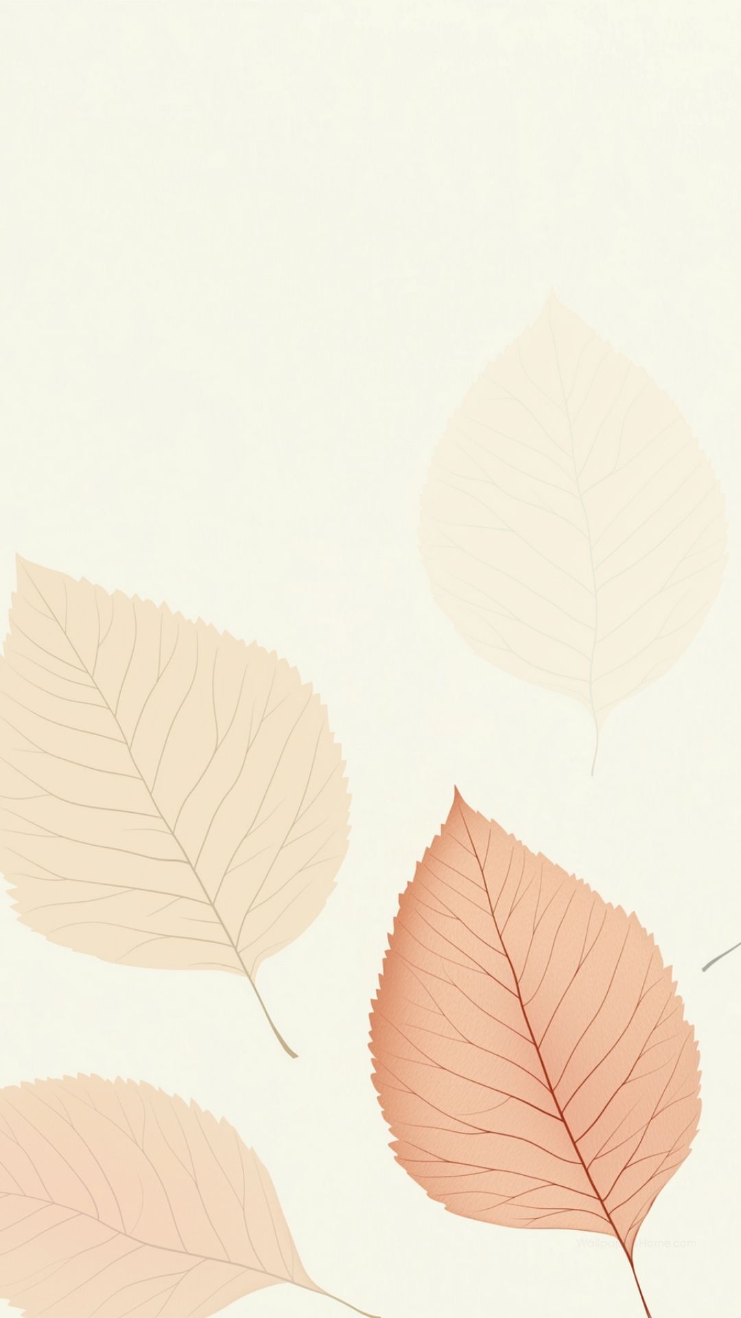 Fall Leaves Aesthetic Wallpapers - Top Free Fall Leaves Aesthetic ...