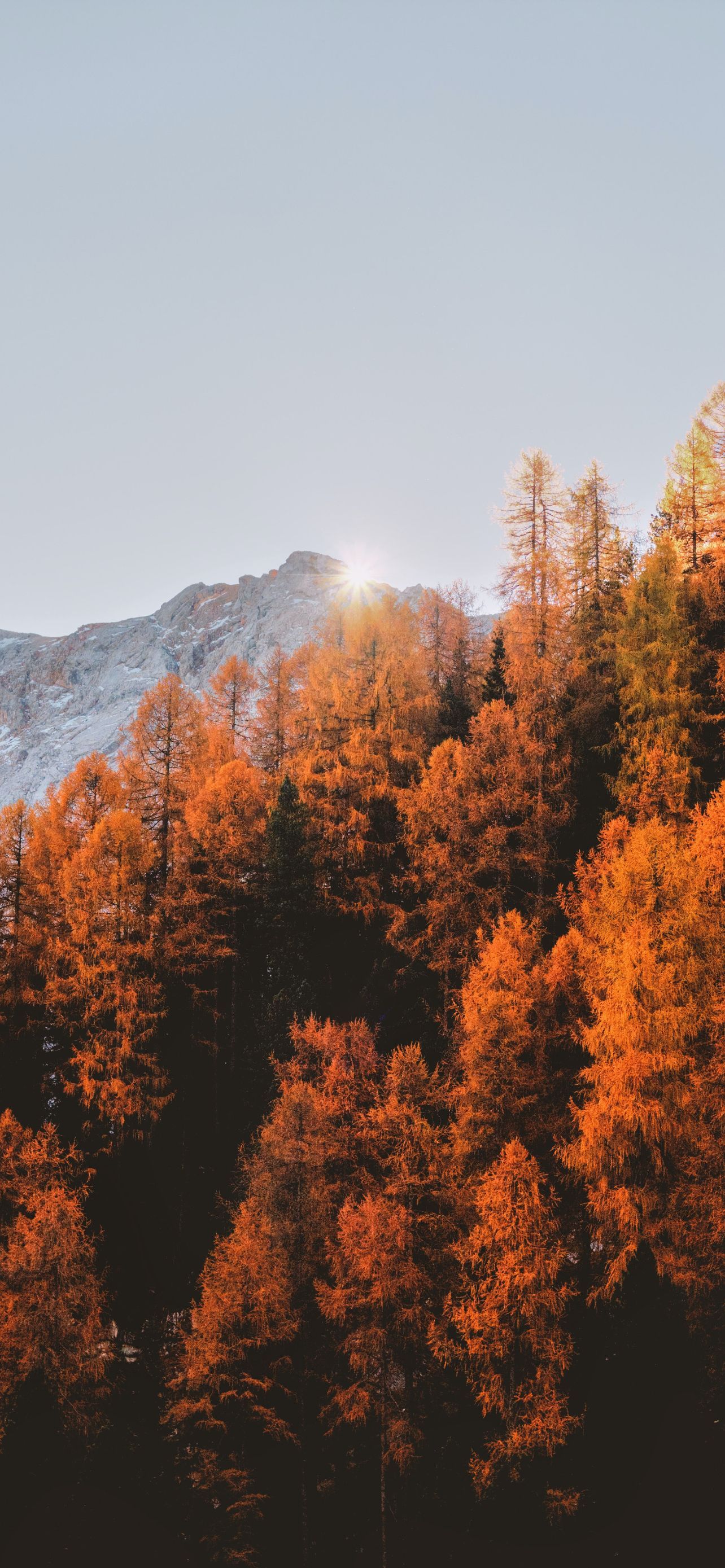 1284x2778 Colorful autumn iPhone wallpaper pack