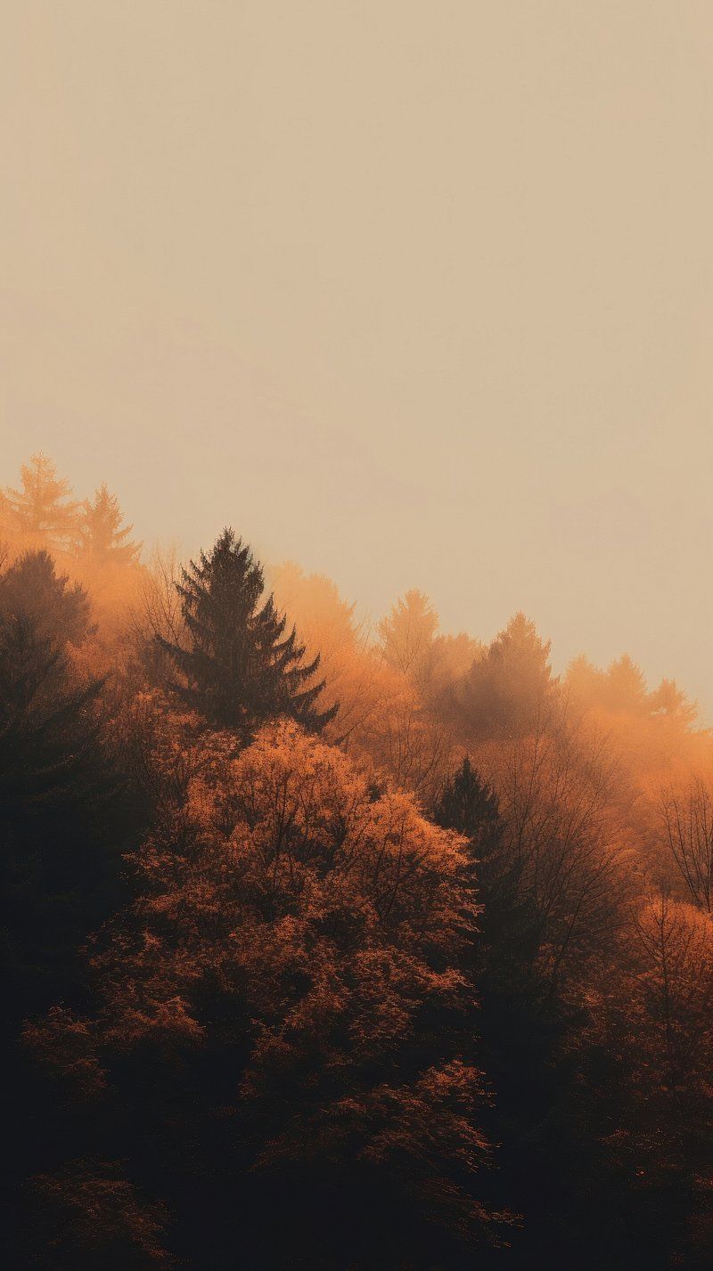 800x1427 iPhone Wallpaper Autumn Image. Free