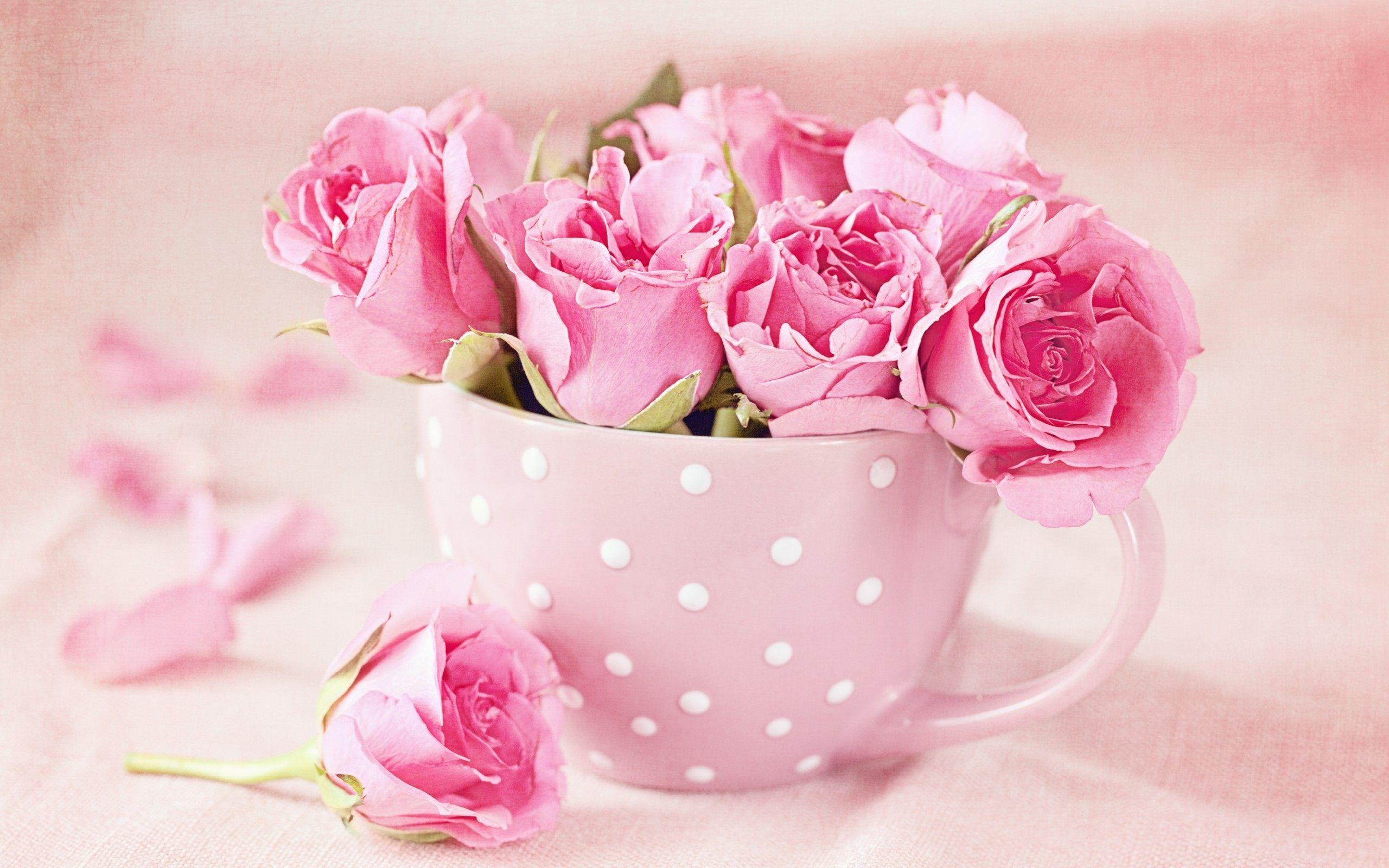2560x1600 Pink Rose Pattern Wallpaper