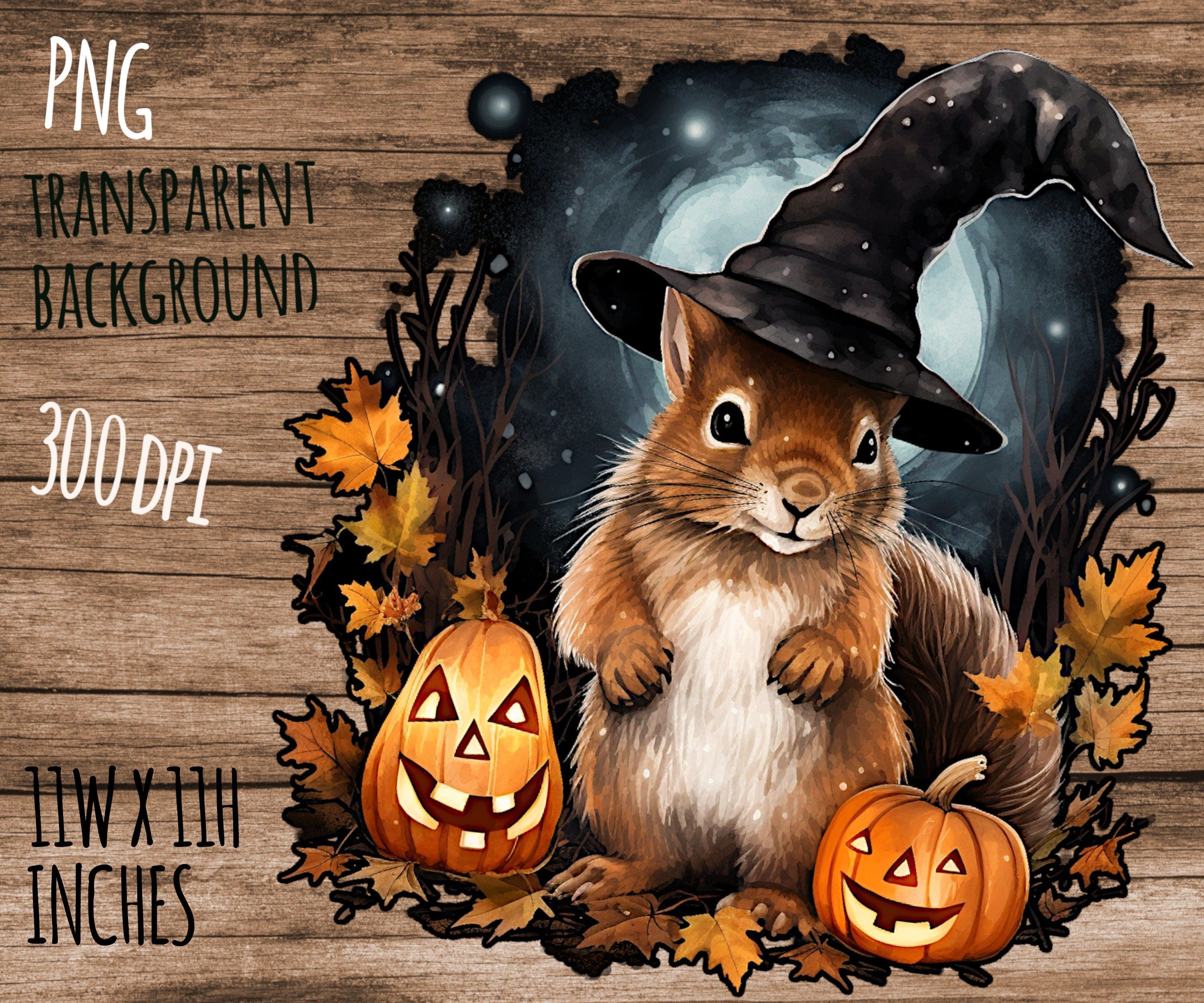 3000x2500 Halloween Squirrel in A Witch Hat With