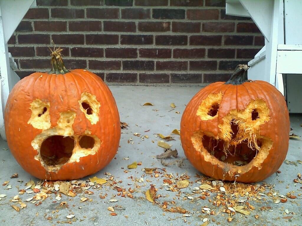 1024x768 How to Train Squirrels to Carve your