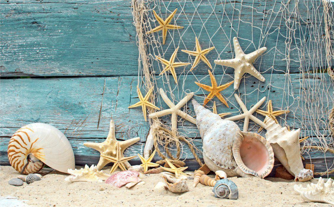 1130x702 Seashells and starfish on the boat