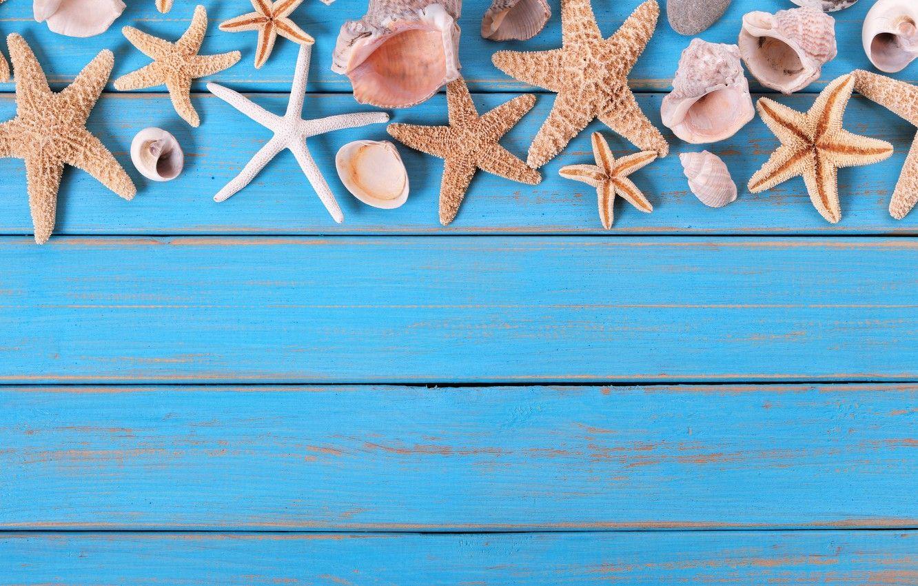 1332x850 Wallpaper beach, background, Board, star, shell, summer
