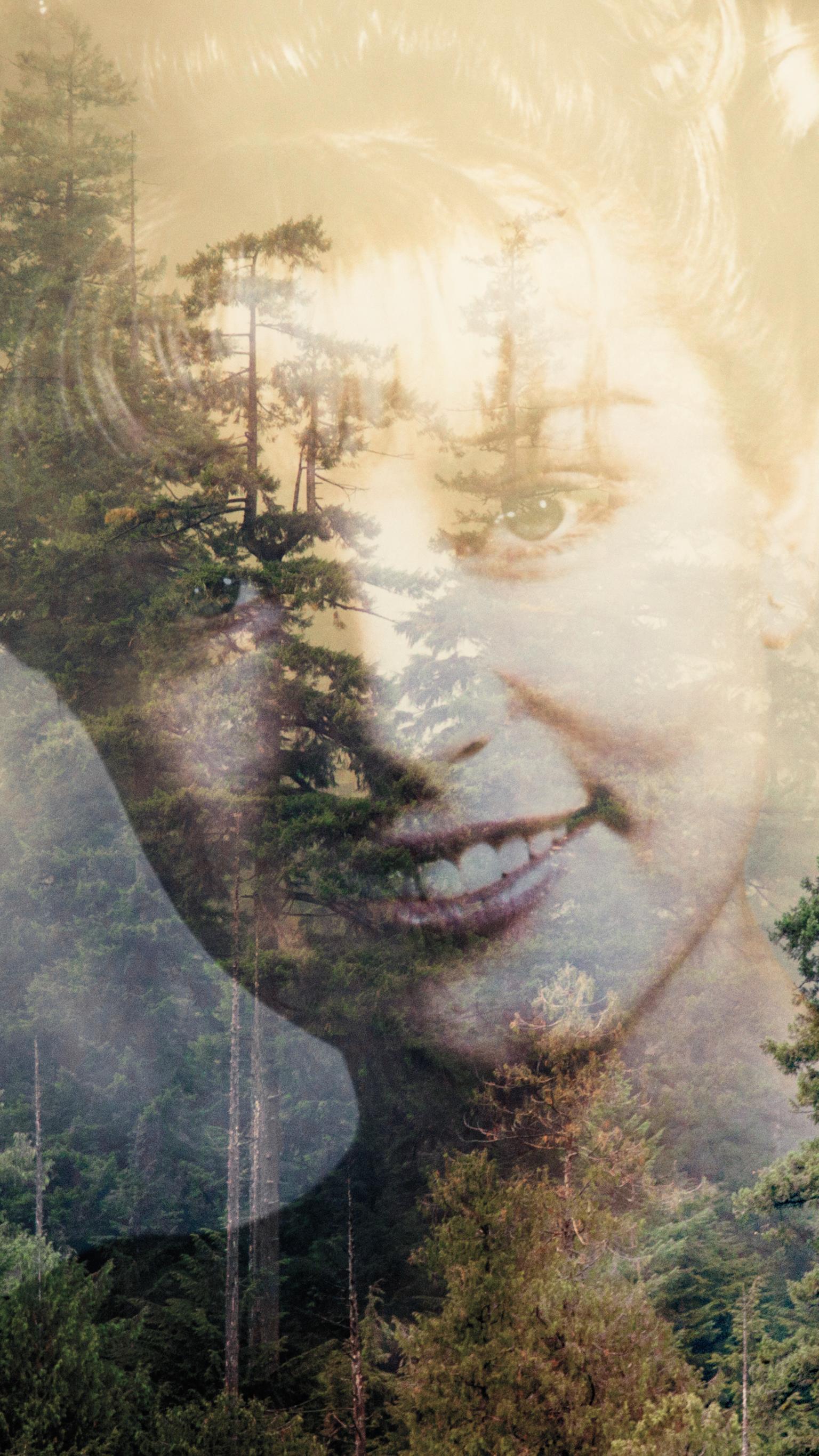 1536x2732 Twin Peaks Phone Wallpaper