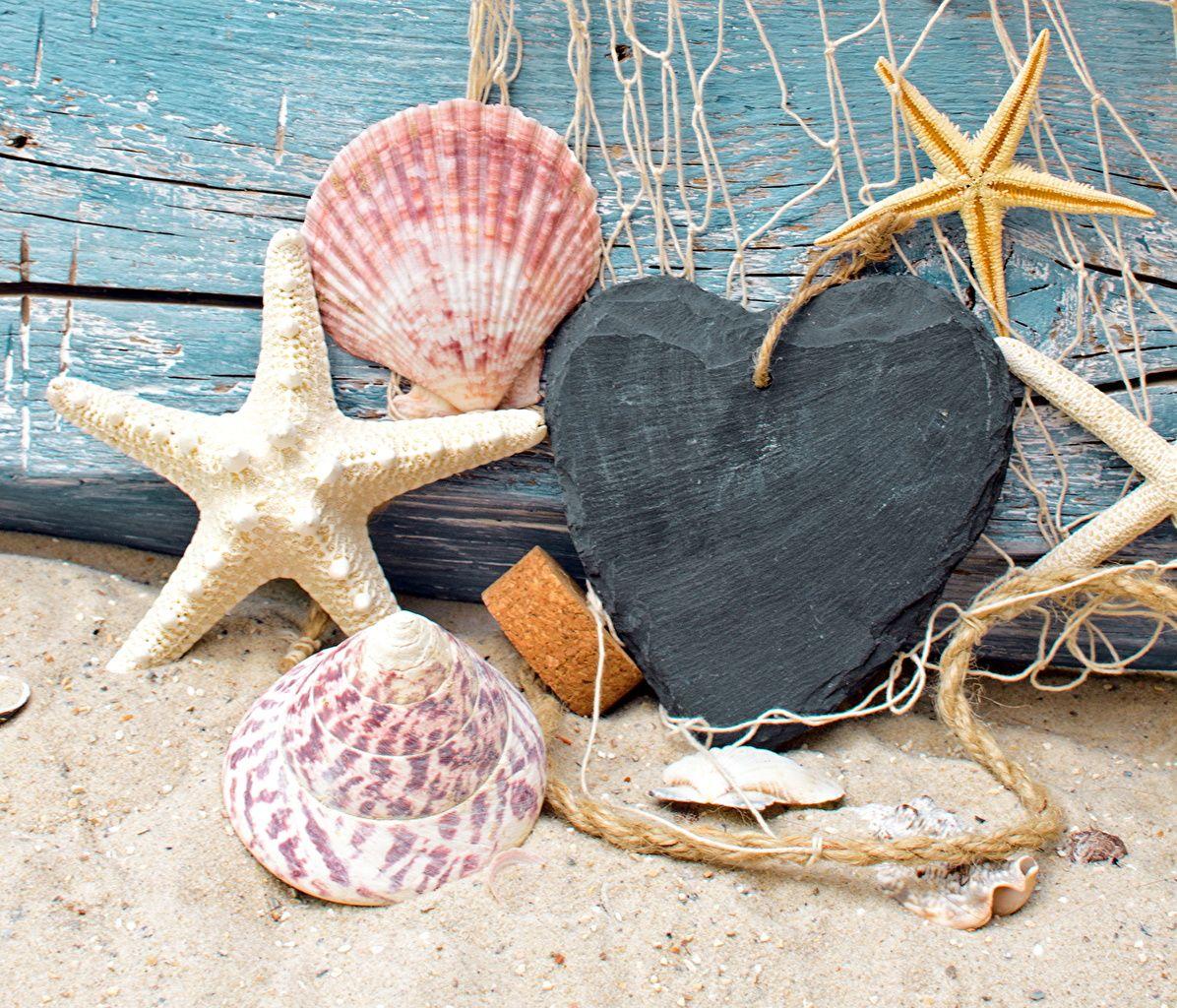 1196x1024 Desktop Wallpaper Starfish Heart Sand Shells Closeup