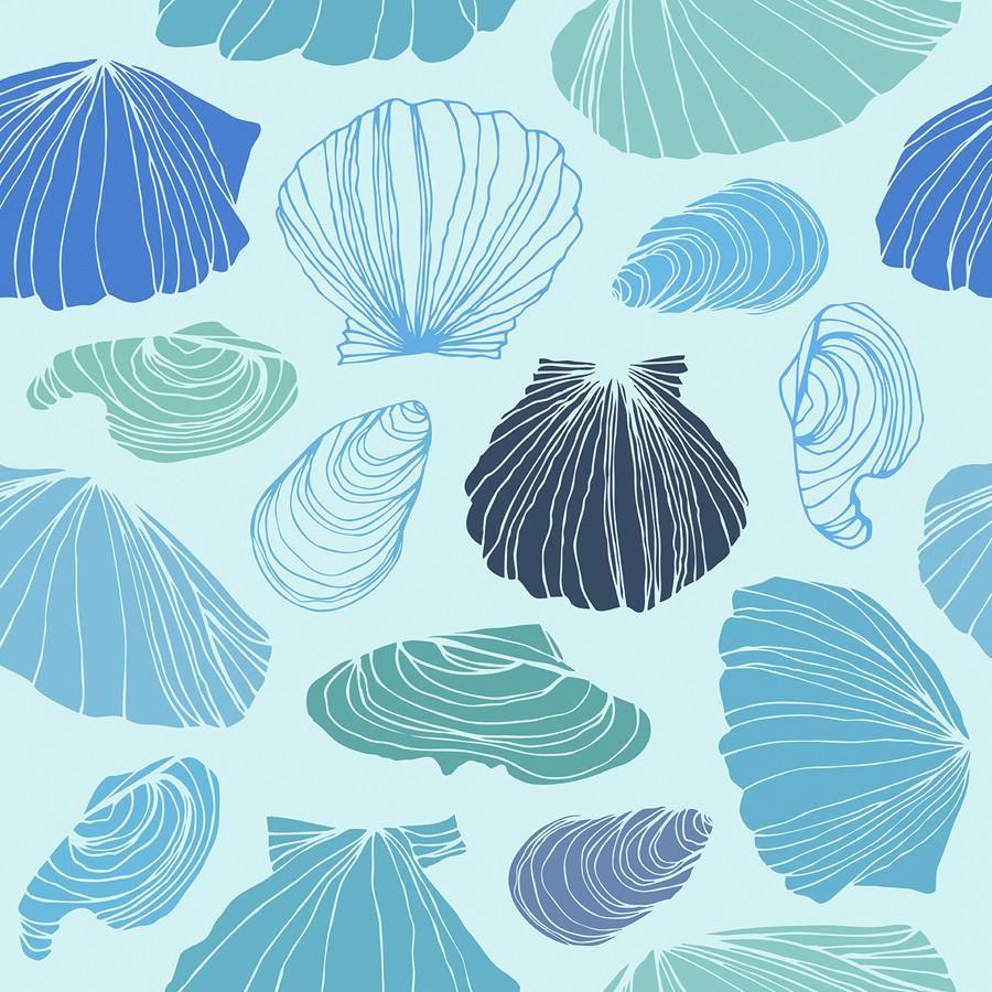 Seashells Wallpapers - Top Free Seashells Backgrounds - WallpaperAccess