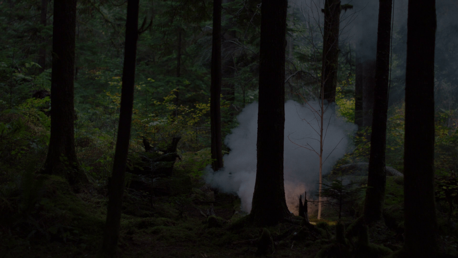 Twin Peaks Wallpapers - Top Free Twin Peaks Backgrounds - WallpaperAccess