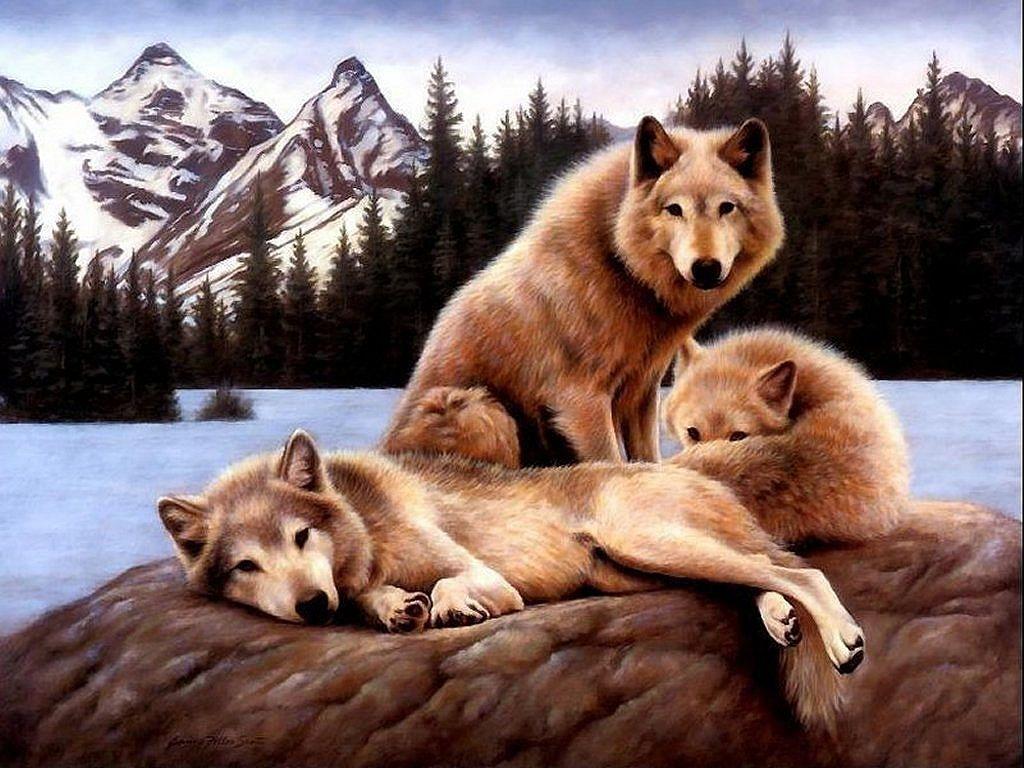 1024x768 Native American PICS. Native American Code of Ethics