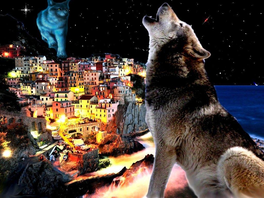 1024x768 Wolf Tag wallpaper: INDIAN Wolf Mountains Nature SPIRIT Mountain