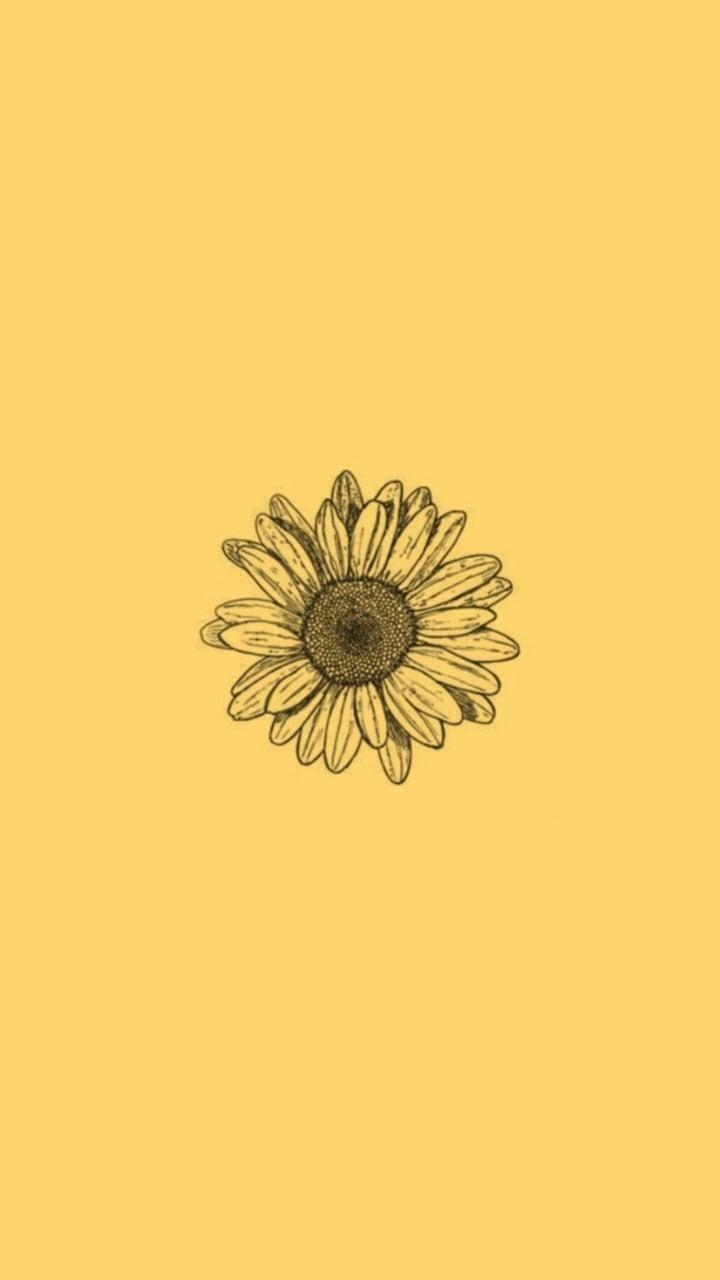 720x1280 Aesthetic Sunflower Wallpaper Desktop - Sunflower Background