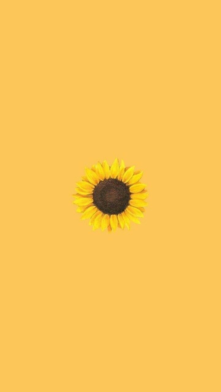 Yellow Sunflower Aesthetic Wallpapers Top Free Yellow Sunflower Aesthetic Backgrounds Wallpaperaccess