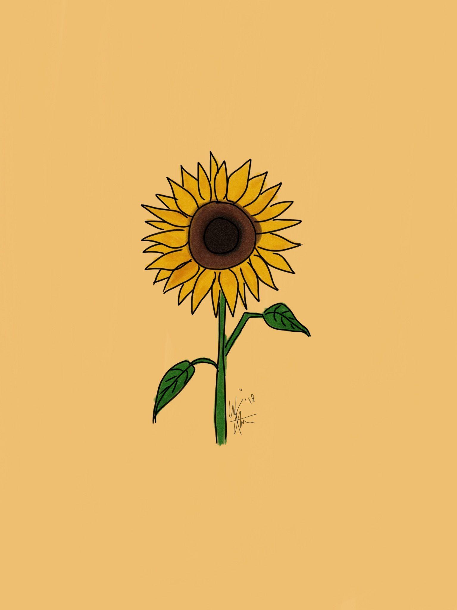 Sunflower Drawing Wallpapers Top Free Sunflower Drawing Backgrounds Wallpaperaccess
