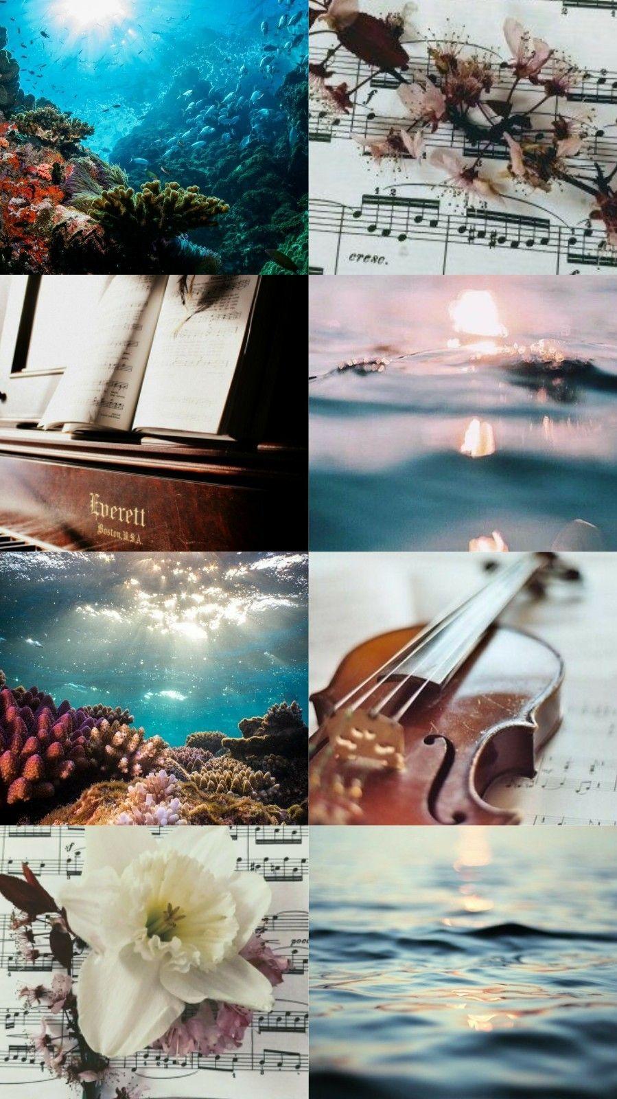 899x1600 Aesthetic Wallpaper