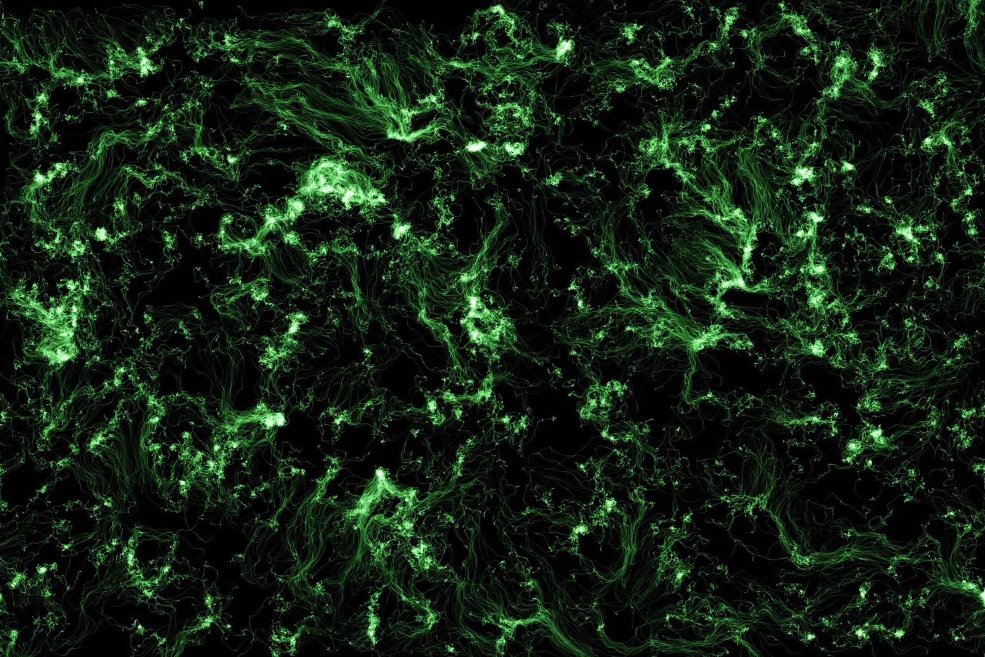 2000x1333 Navy green bubbles on dark green abstract wallpaper. HD