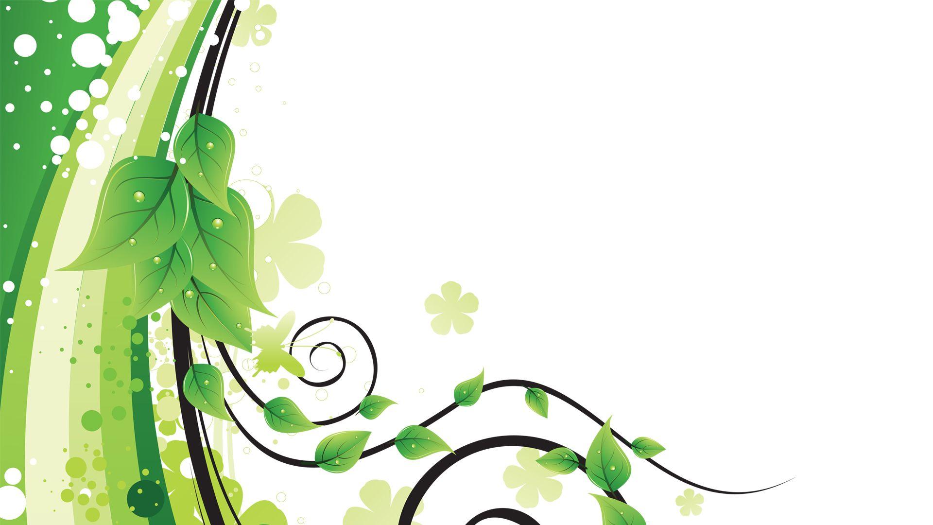 1920x1080 Floral Vector HD Wallpaper And White Abstract Free