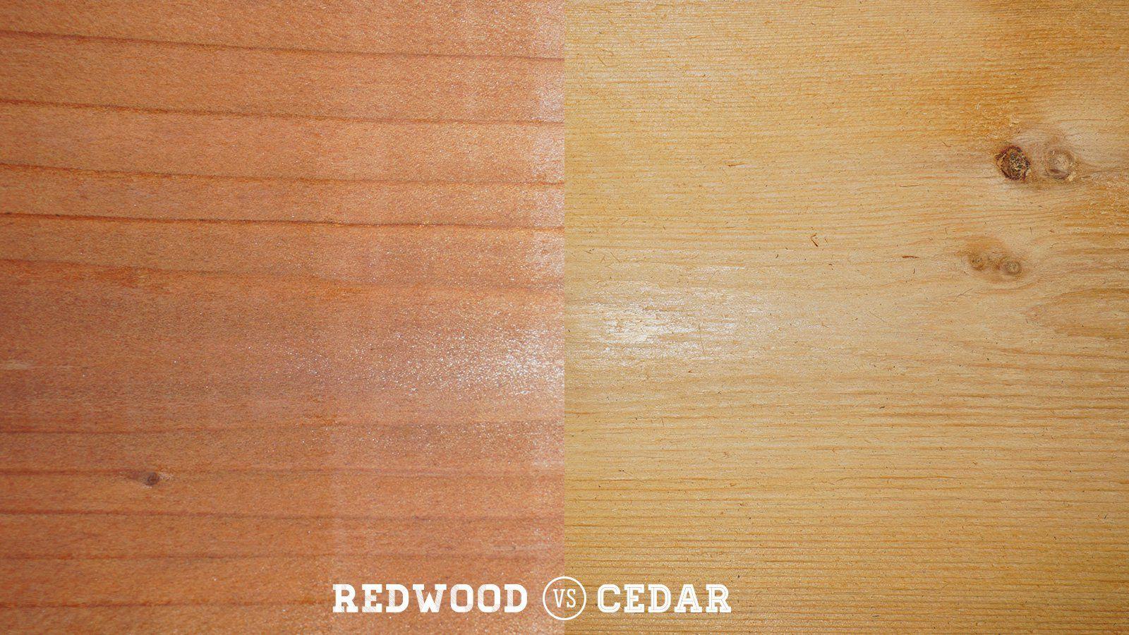 1600x900 Redwood Vs. Cedar