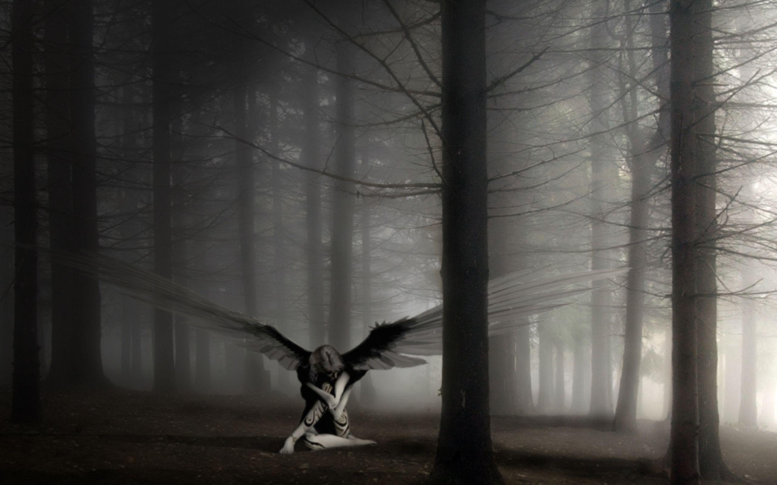 2560x1600 Dreamy Fantasy Dark Angels Forest Artwork Wallpaper