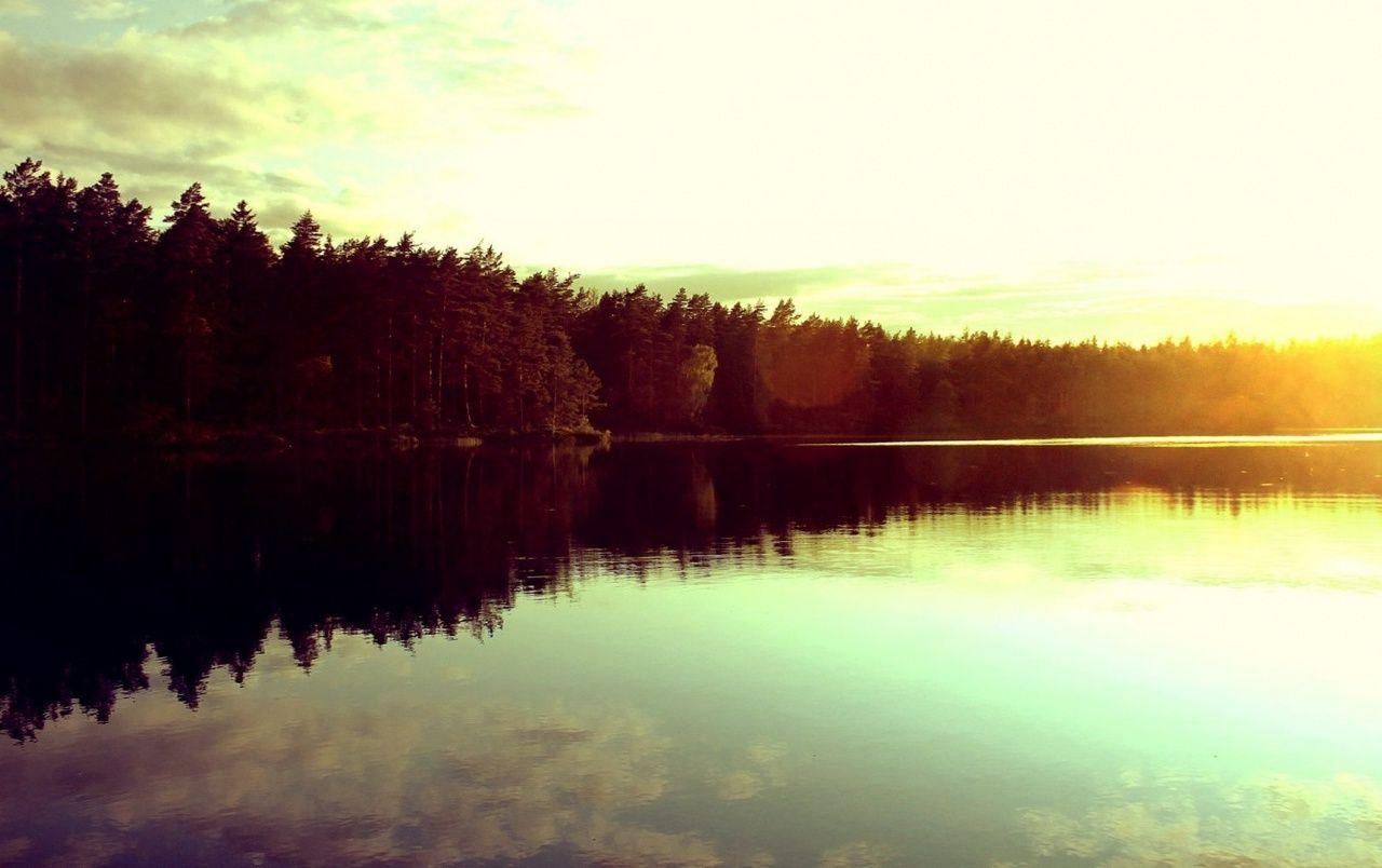 1280x804 Forest Sun & Dreamy Lake wallpaper. Forest Sun & Dreamy