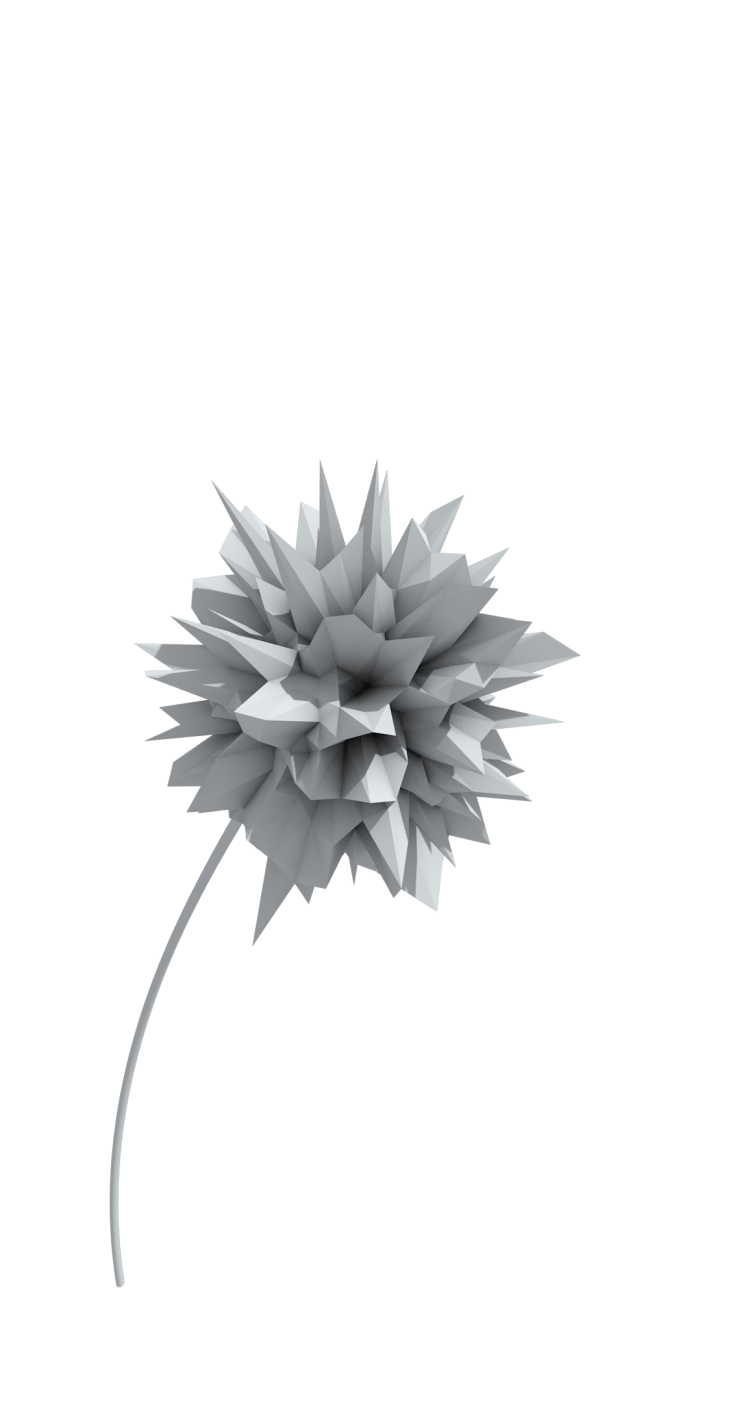 748x1403 no Background, Flowers, Abstract, Cinema 4D, CGI, Plants