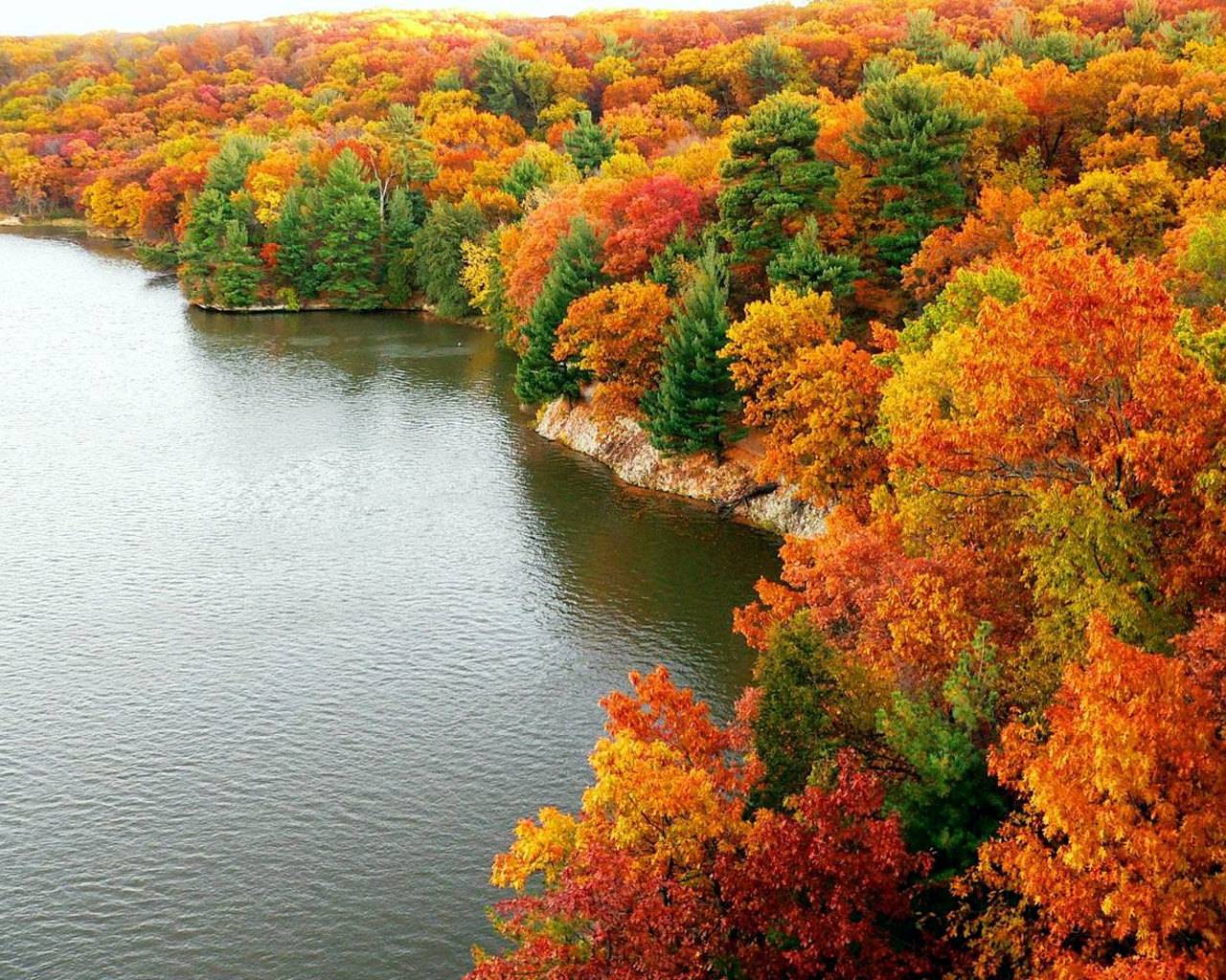 1280x1024 Wallpaper Fair: Yellow And Red Trees Color Forest Free