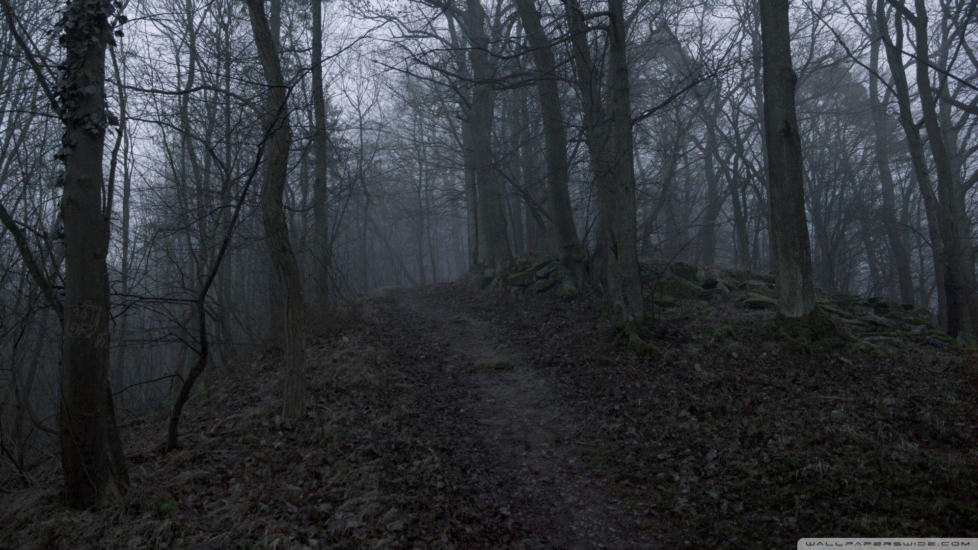 1920x1080 Creepy Forest Wallpaper