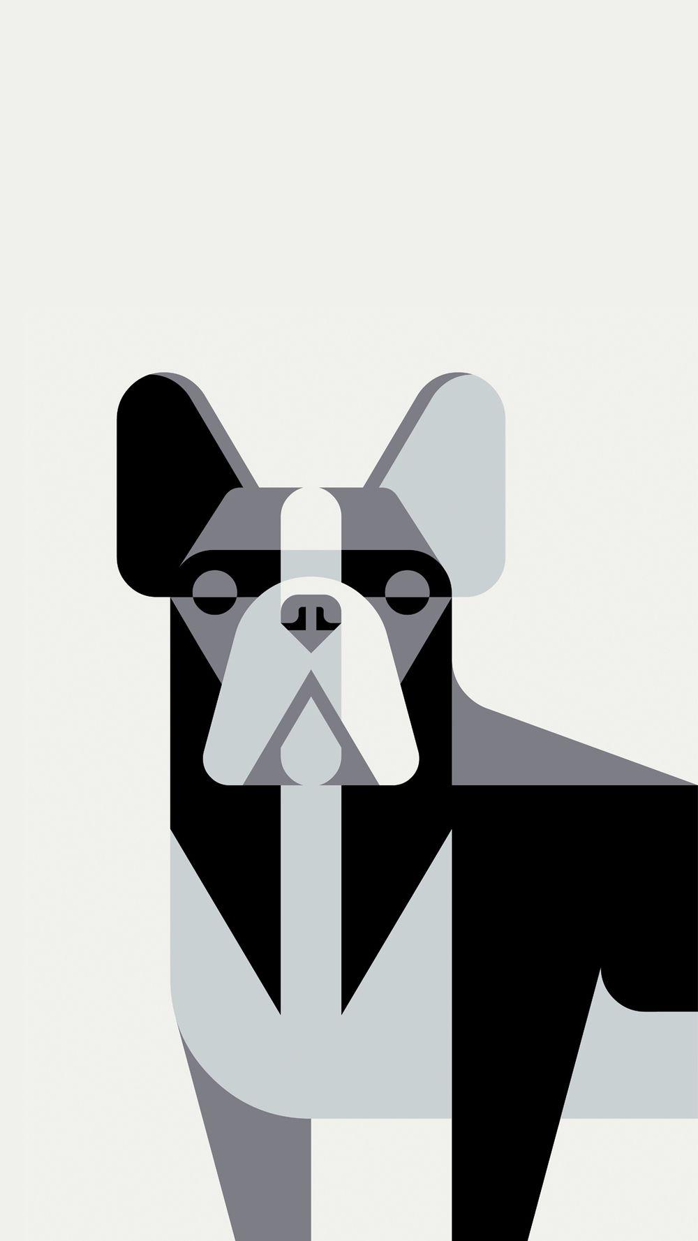 1000x1778 Josh Brill. French Bulldog Portrait