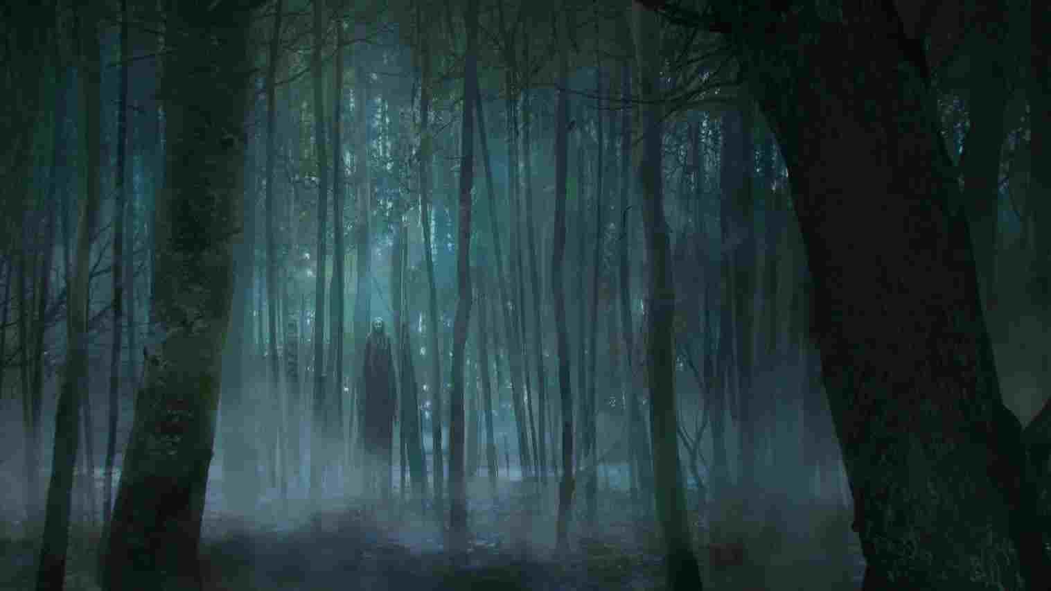 1517x853 rhcom dark Dark Forest Creepy Forest Drawing forest