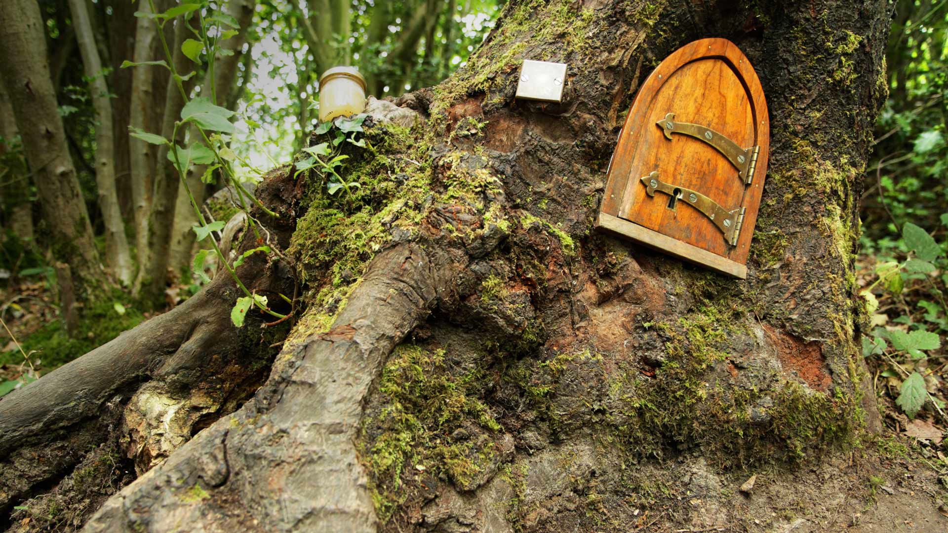 1920x1080 Wallpaper forest, England, tale, the door, Winnie The Pooh, house, East Sussex, Ashdown Forest for mobile and desktop, section разное, resolution 1920x1080